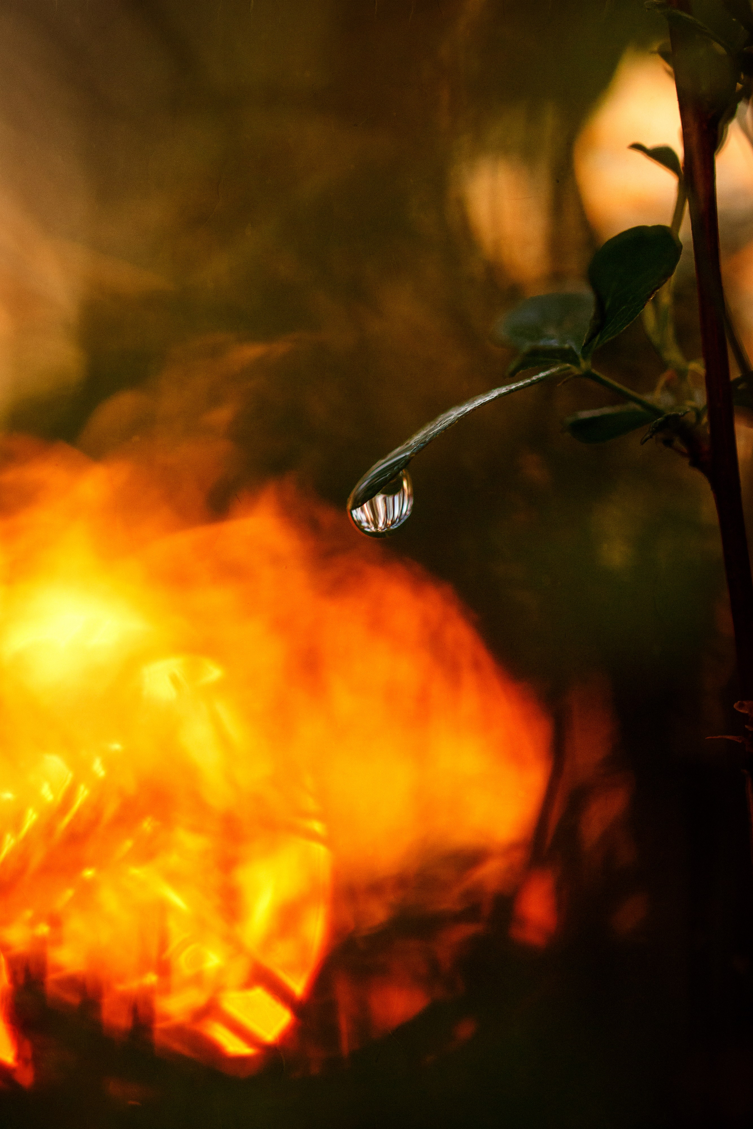 Подберу кадр под ваш интерьер и настроение. Фотограф Кирилл Мешков Кемерово