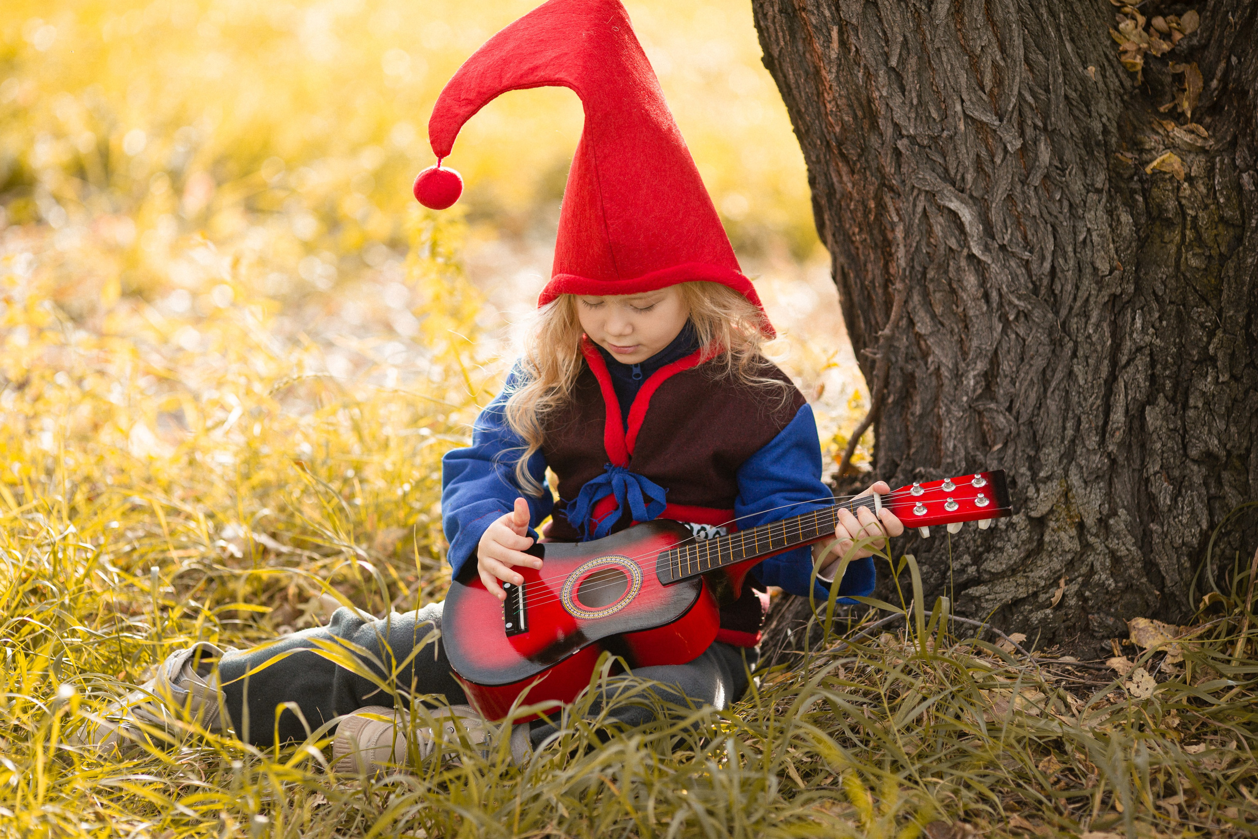 Лесные гномы