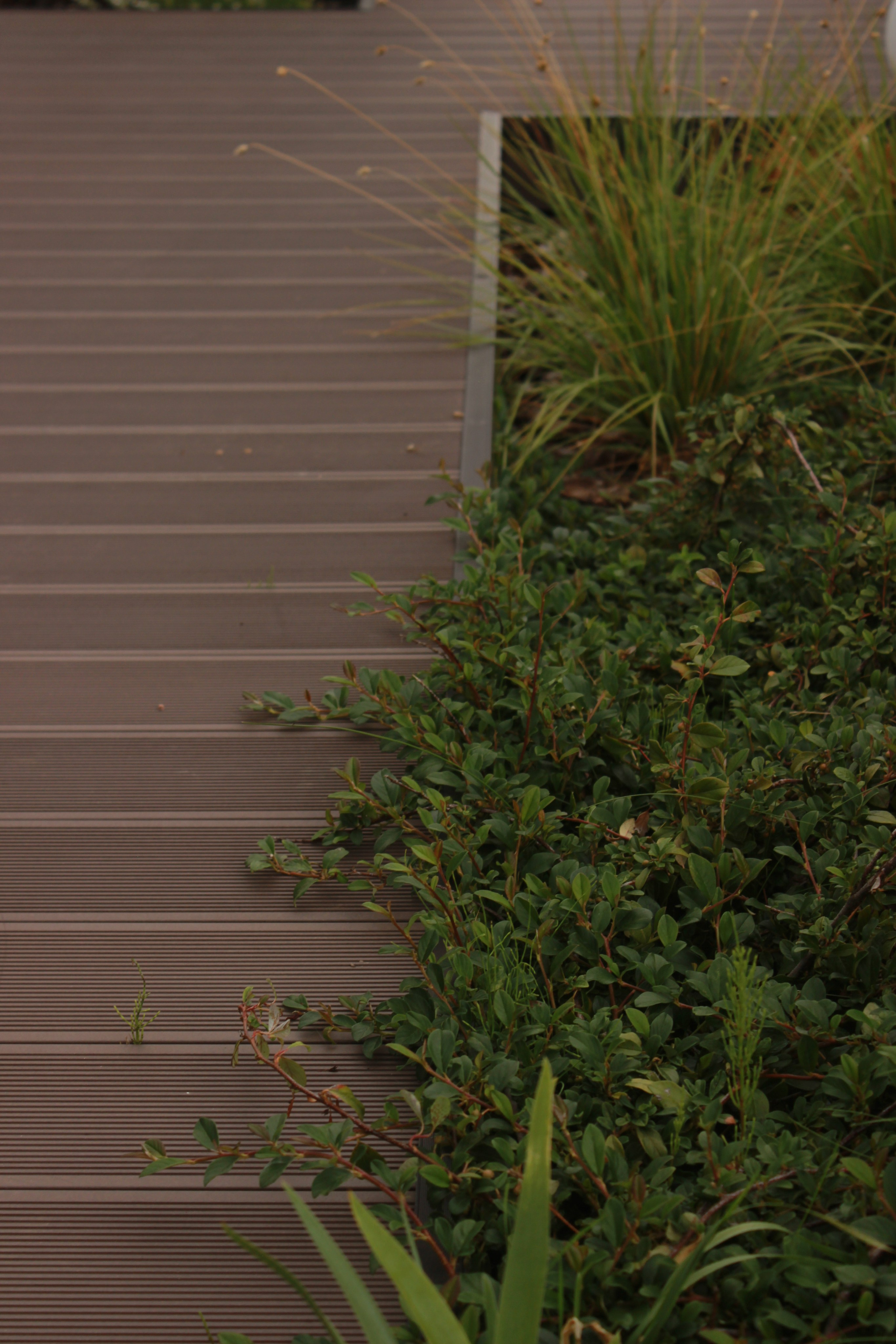 GARDEN IN S. LA. Ландшафтный дизайн в Минске и Гродно