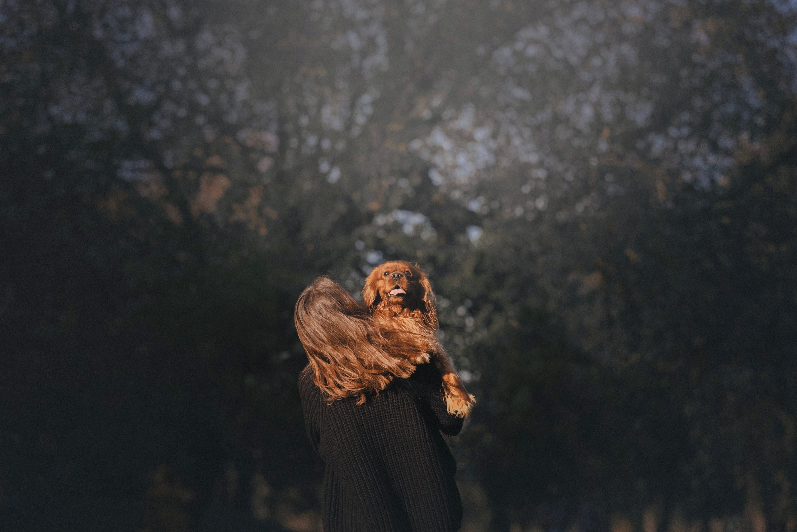 Обо мне. Фотограф анималист в Москве Ольга Агушева