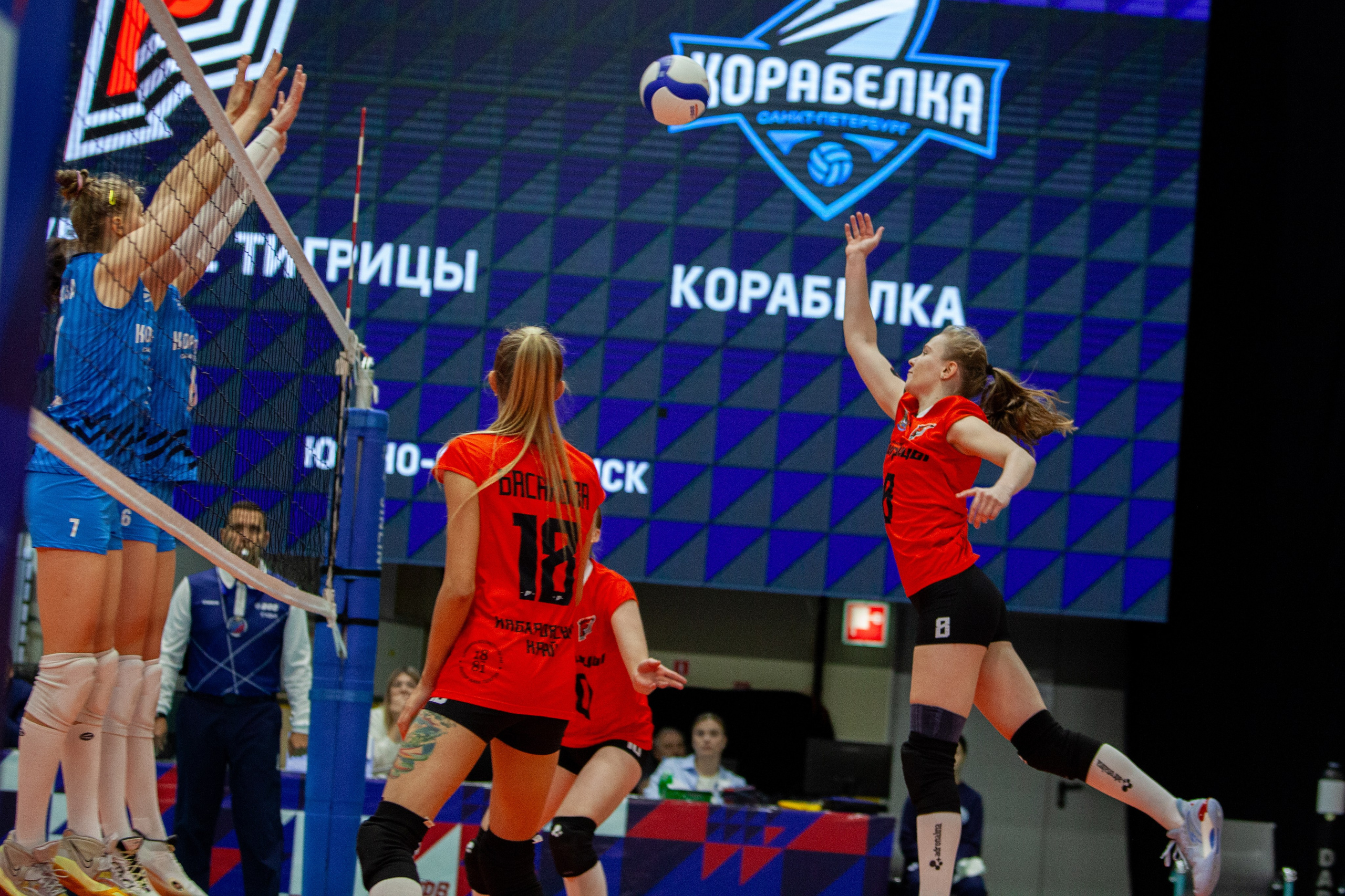 Один день из тура чемпионата России по волейболу. Кутузов Евгений Фотограф в Южно-Сахалинске