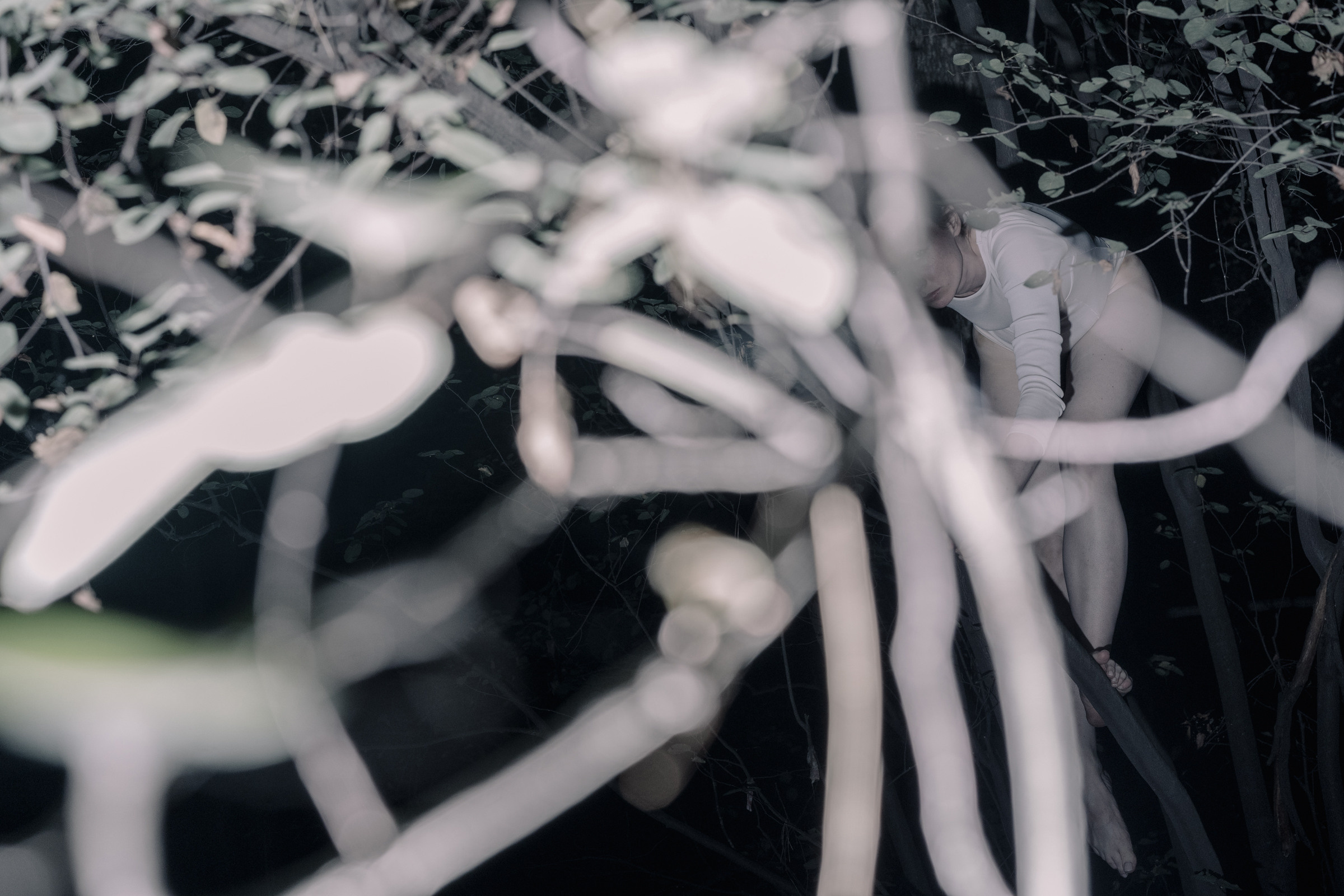 Nocturnal Animals. Mixed-media artist