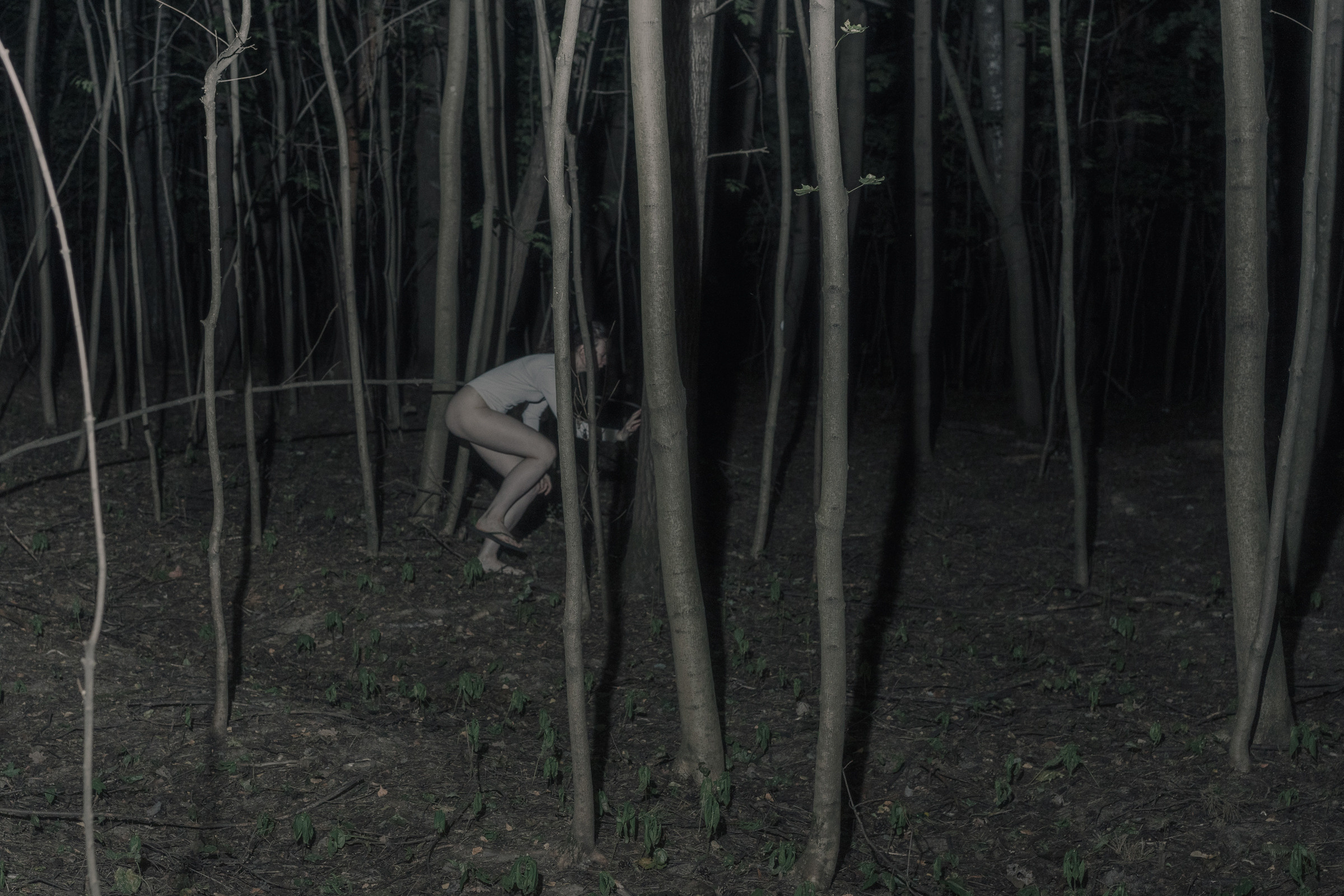 Nocturnal Animals. Mixed-media artist