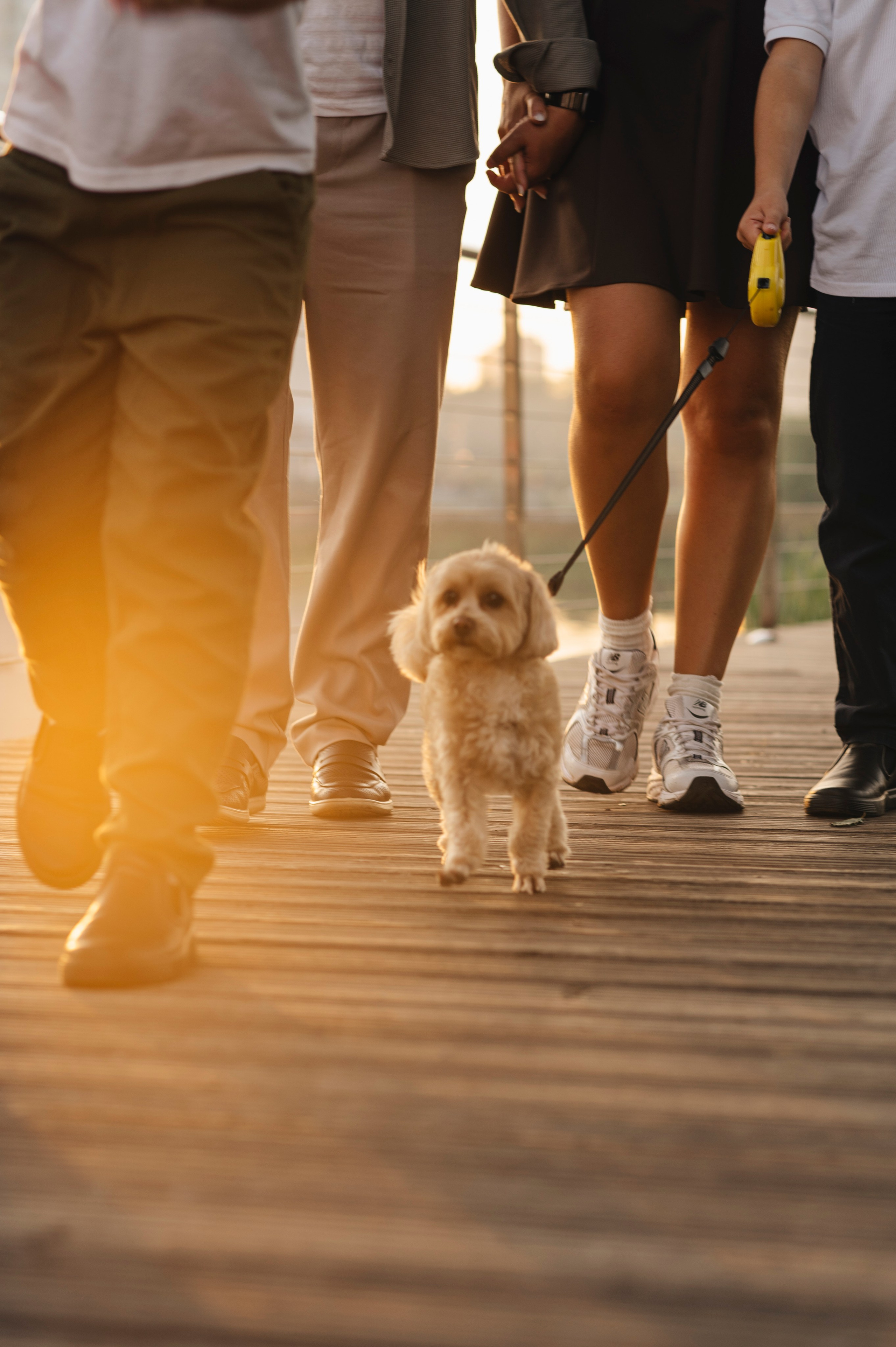 Семейная фотосессия на природе. Анна Боровикова, фотограф Пушкино