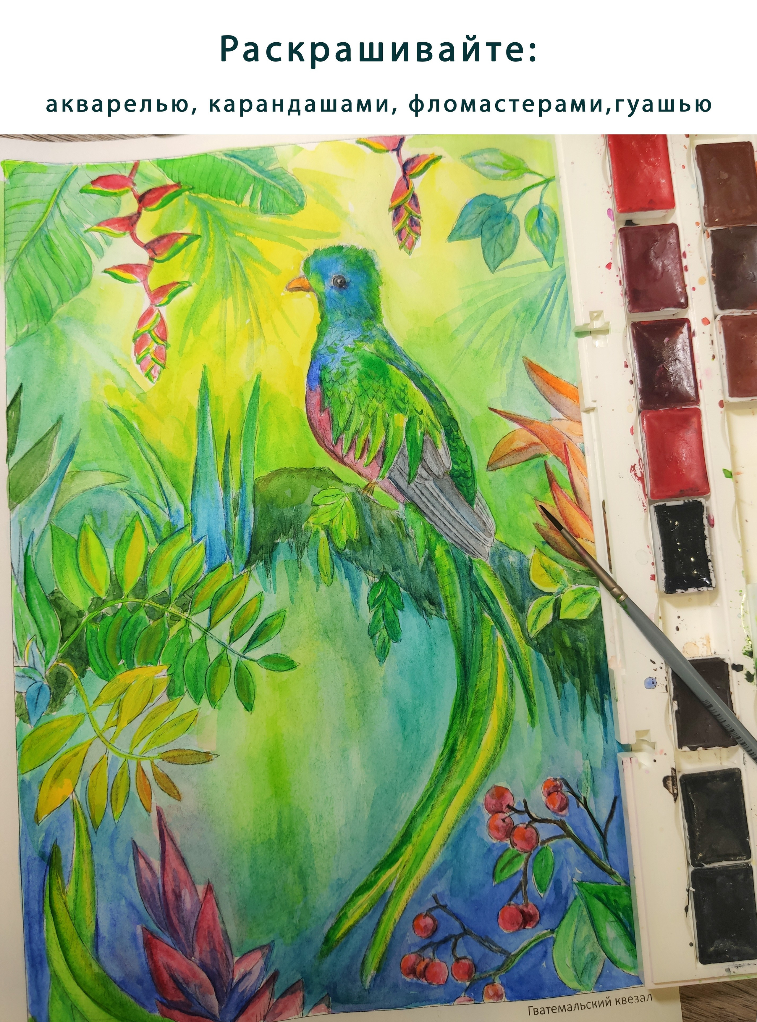 Авторская раскраска от художника Птицы. Раскраски Алёны Лазаревой