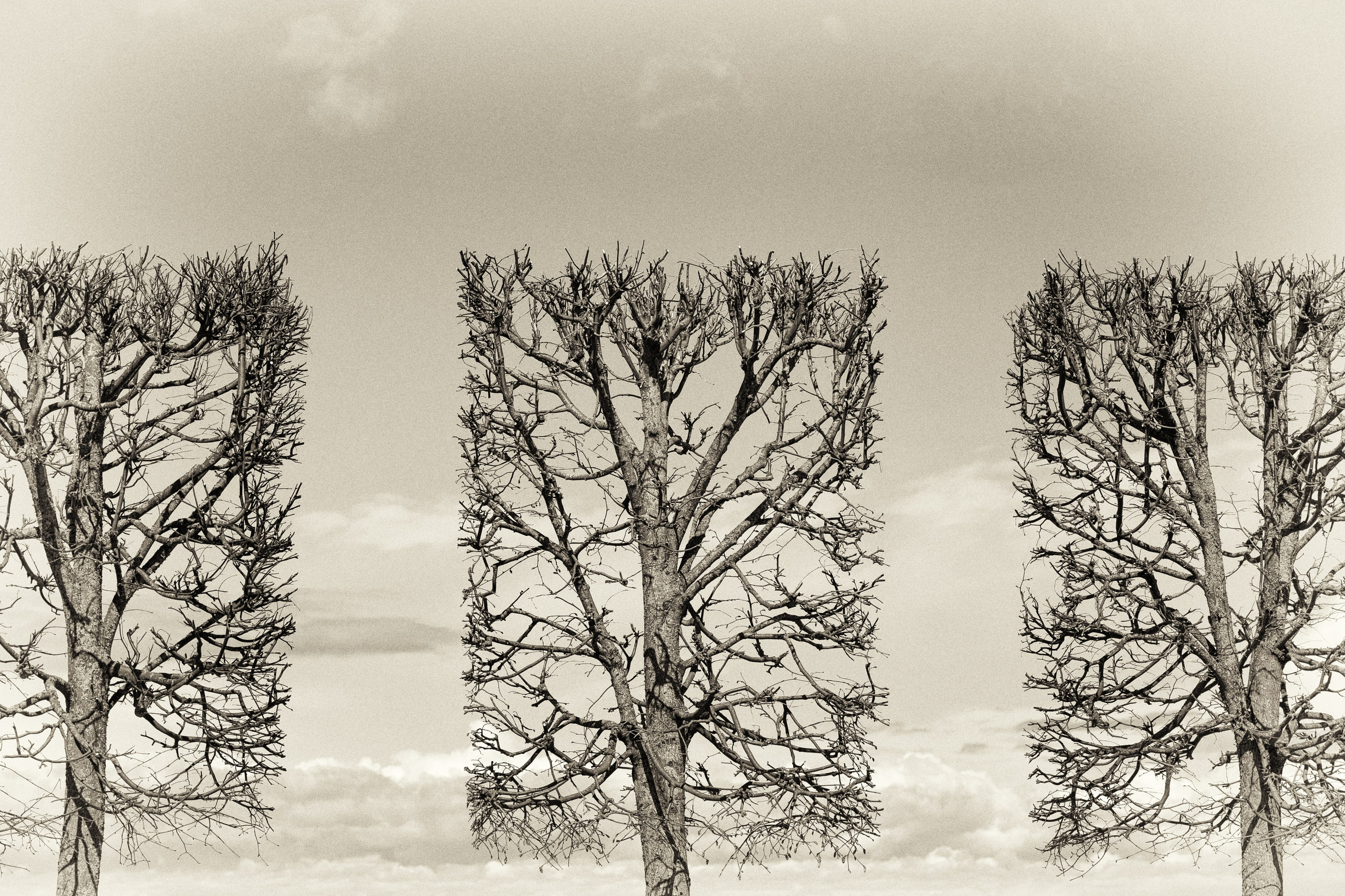 Интерьерная фотография. Фотограф Ольга Дунаева