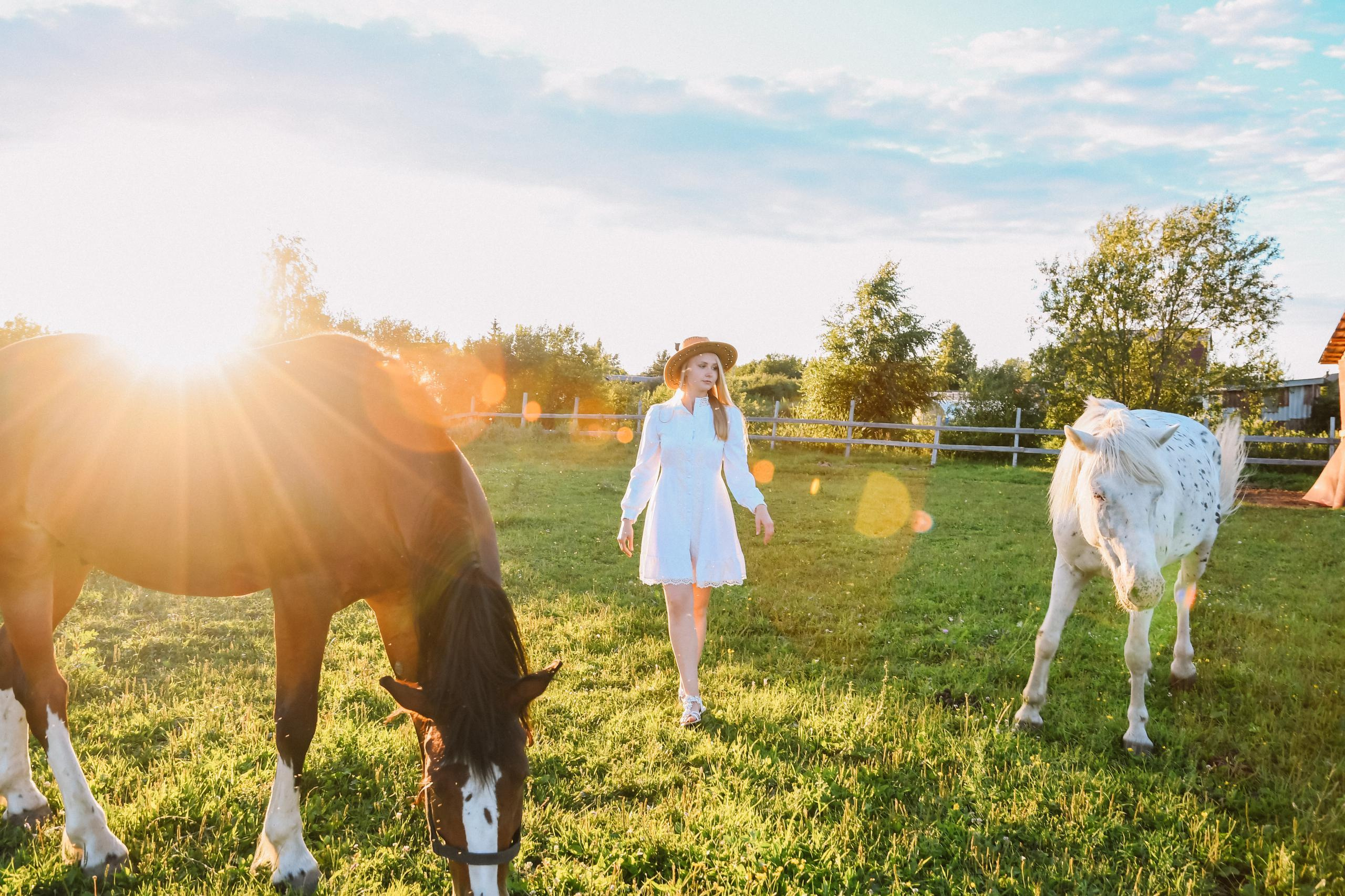 Фотосессия с лошадьми