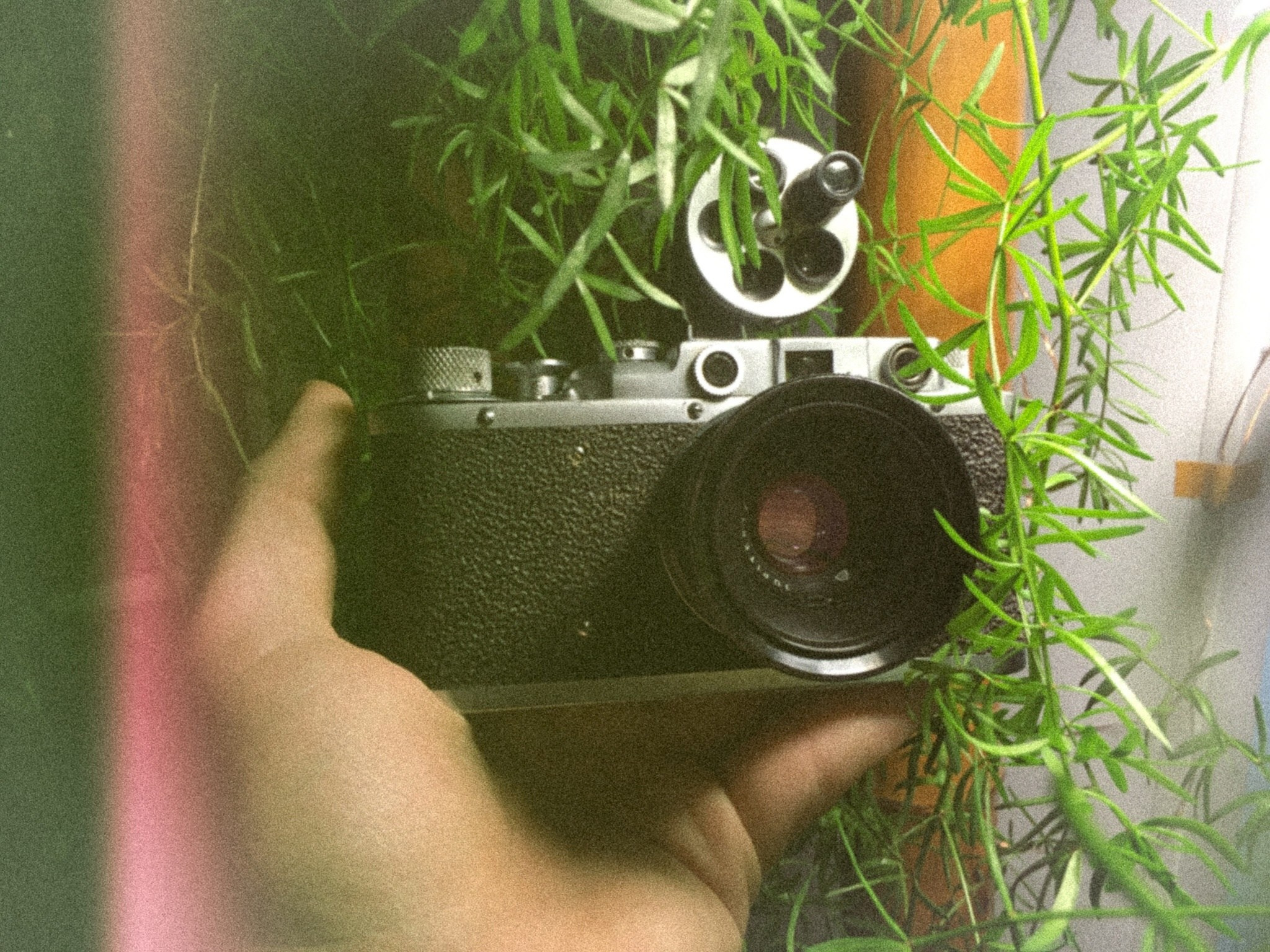 Мастер классы от Георгия Романова зима 2024-2025. Плёночный фотограф, заказать фото на плёнку в Москве — Георгий Романов