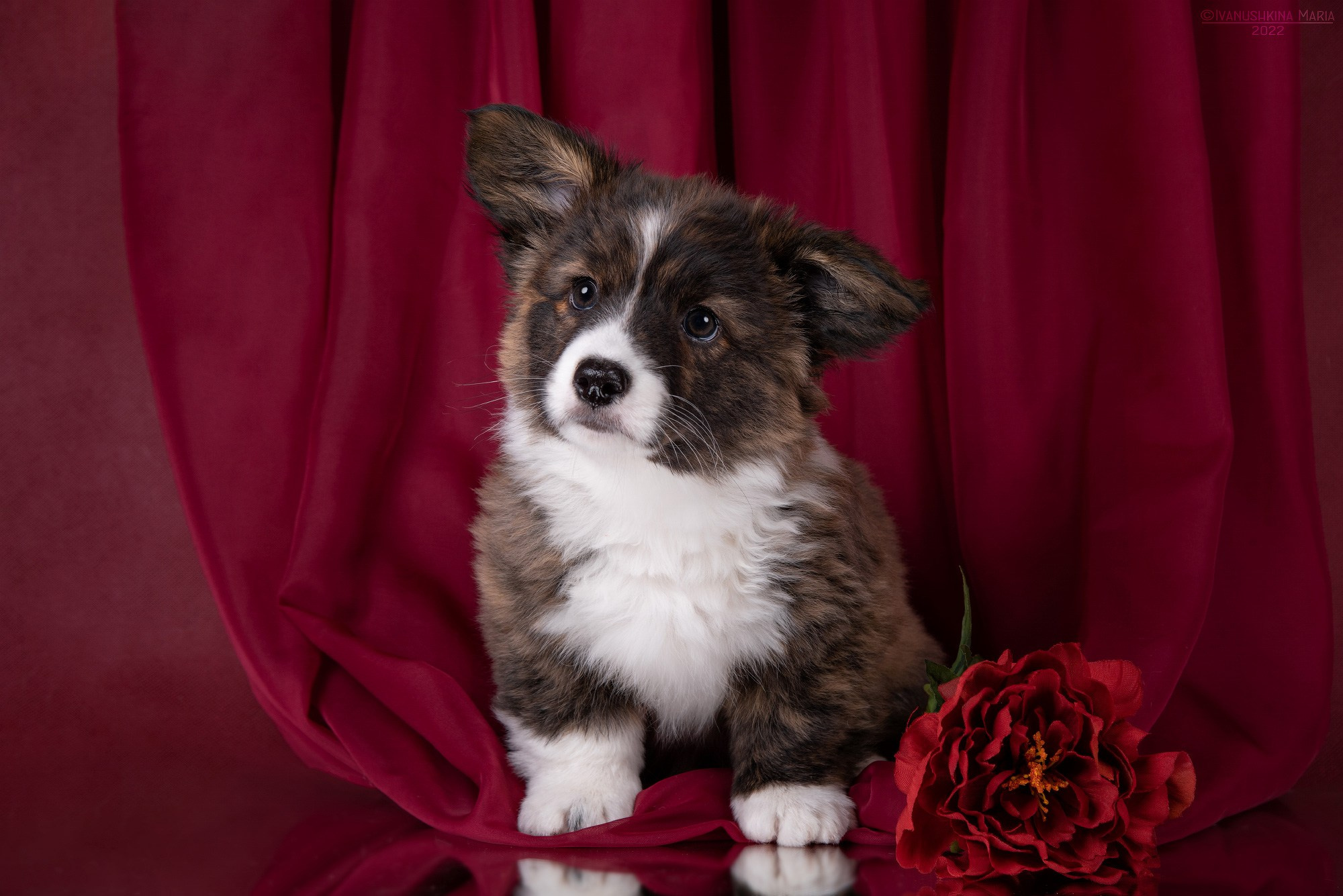 тигровый кардиган