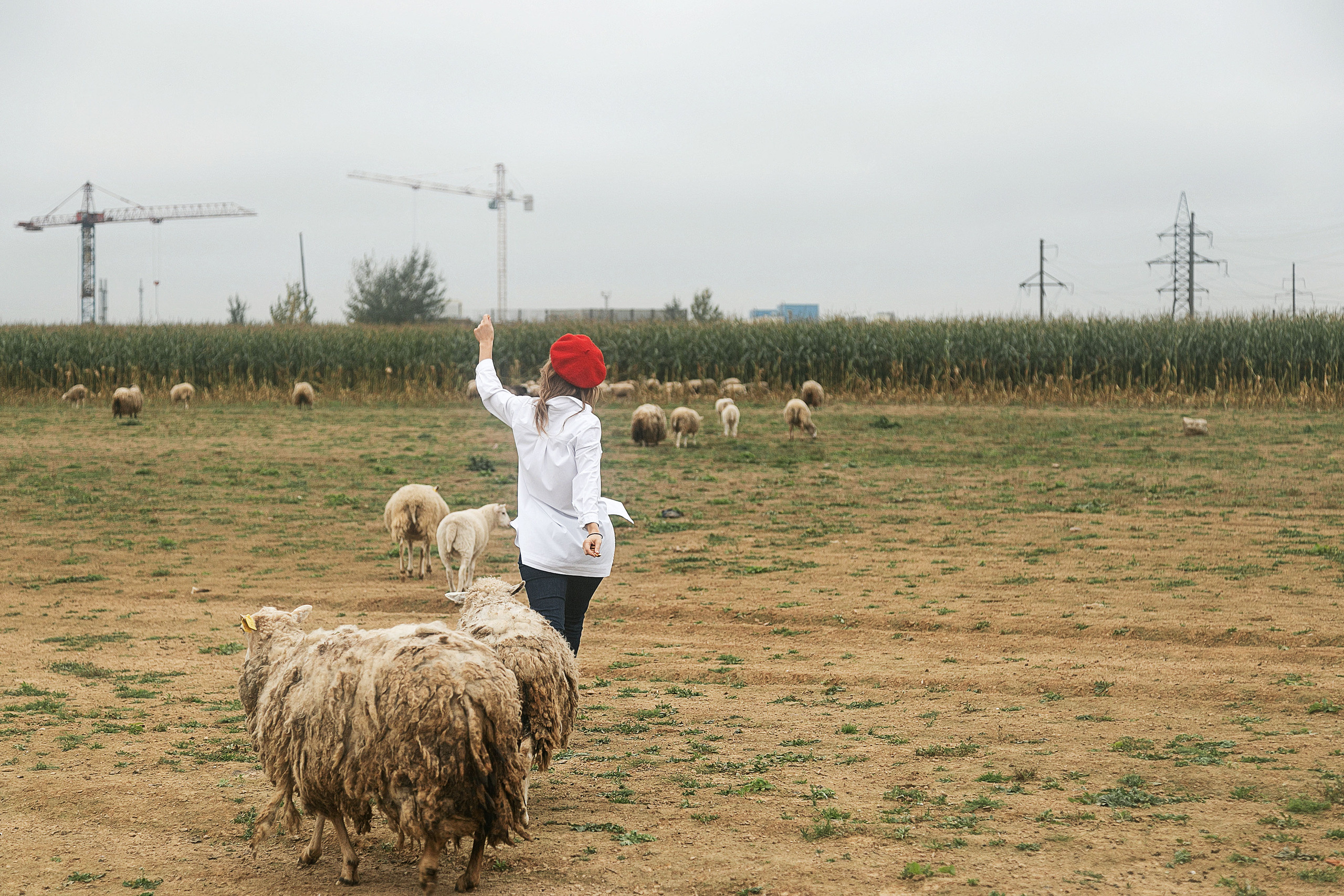 Country story project. Свадебный фотограф