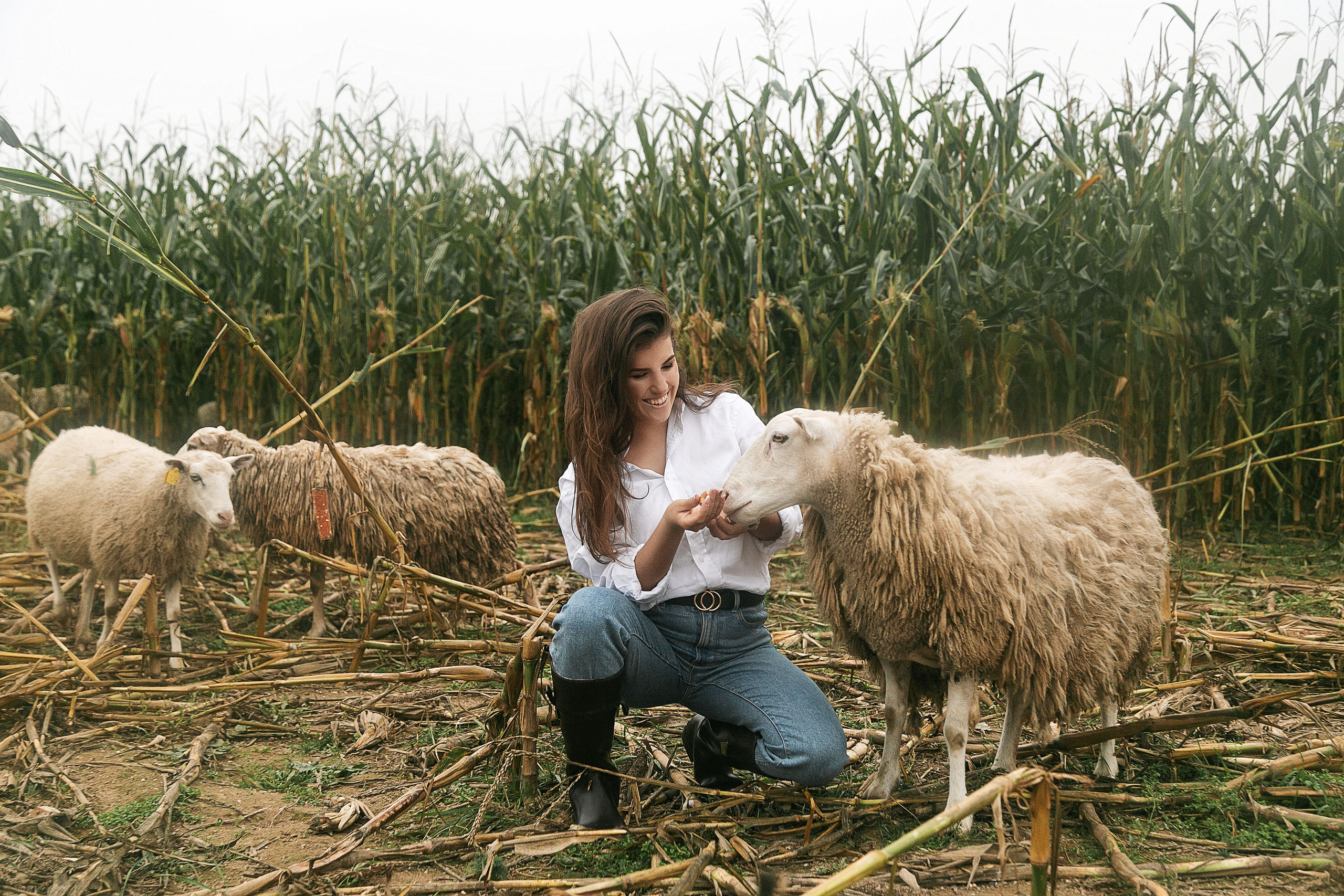 Country story project. Свадебный фотограф