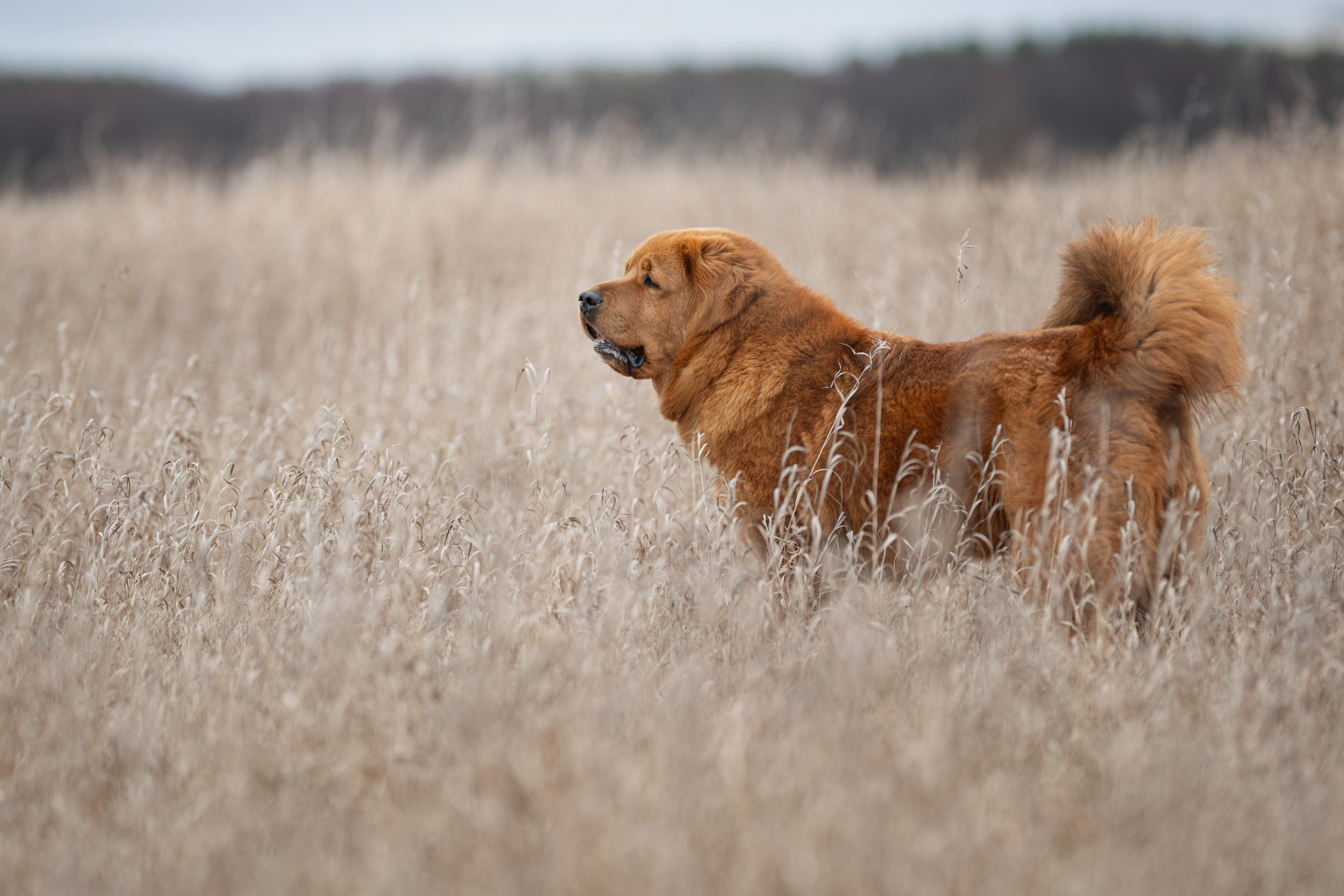 Мои Злата и Фред. -