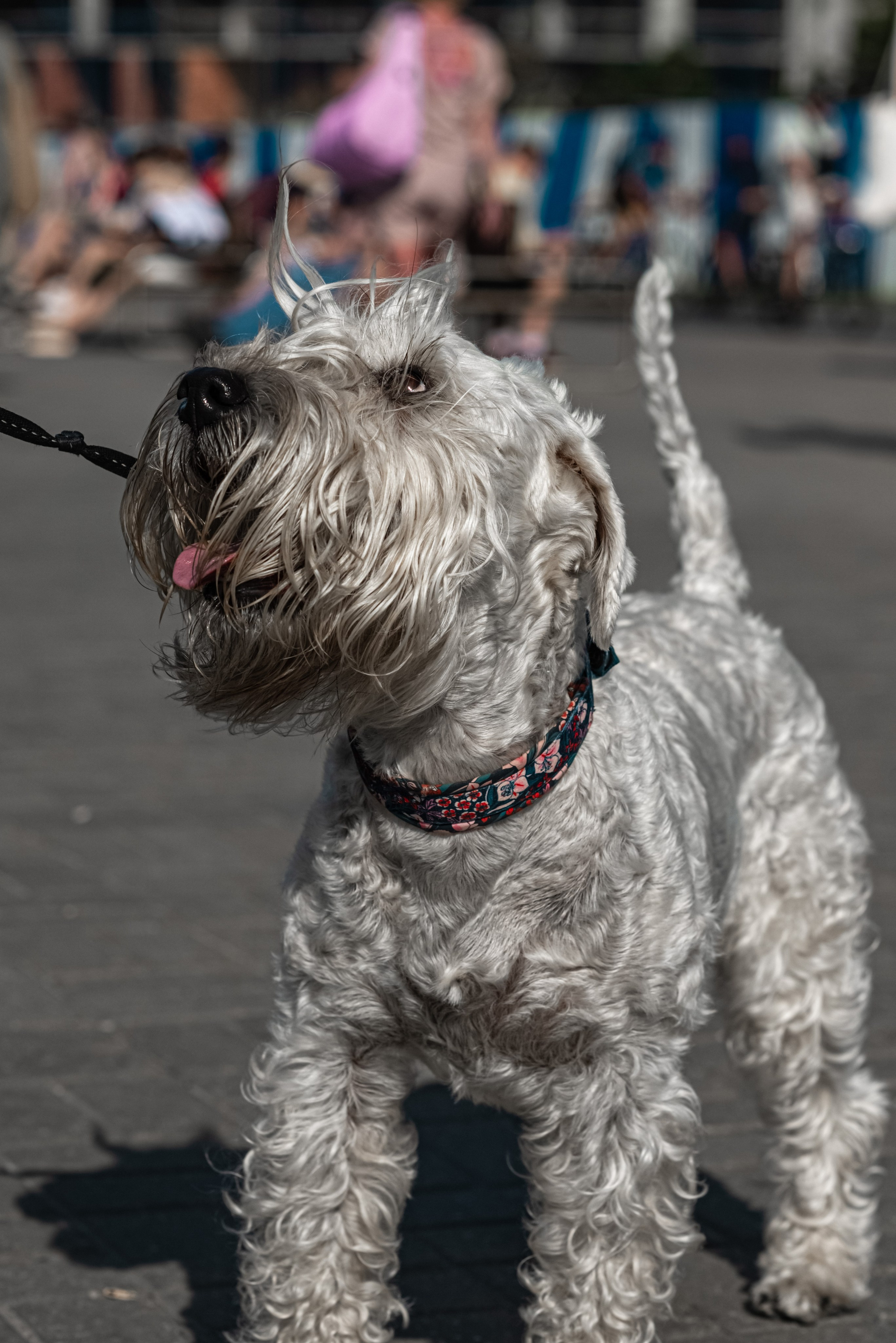Архитектура Калининградской области. Женский фотограф Крещение Венчание Москва Брянск
