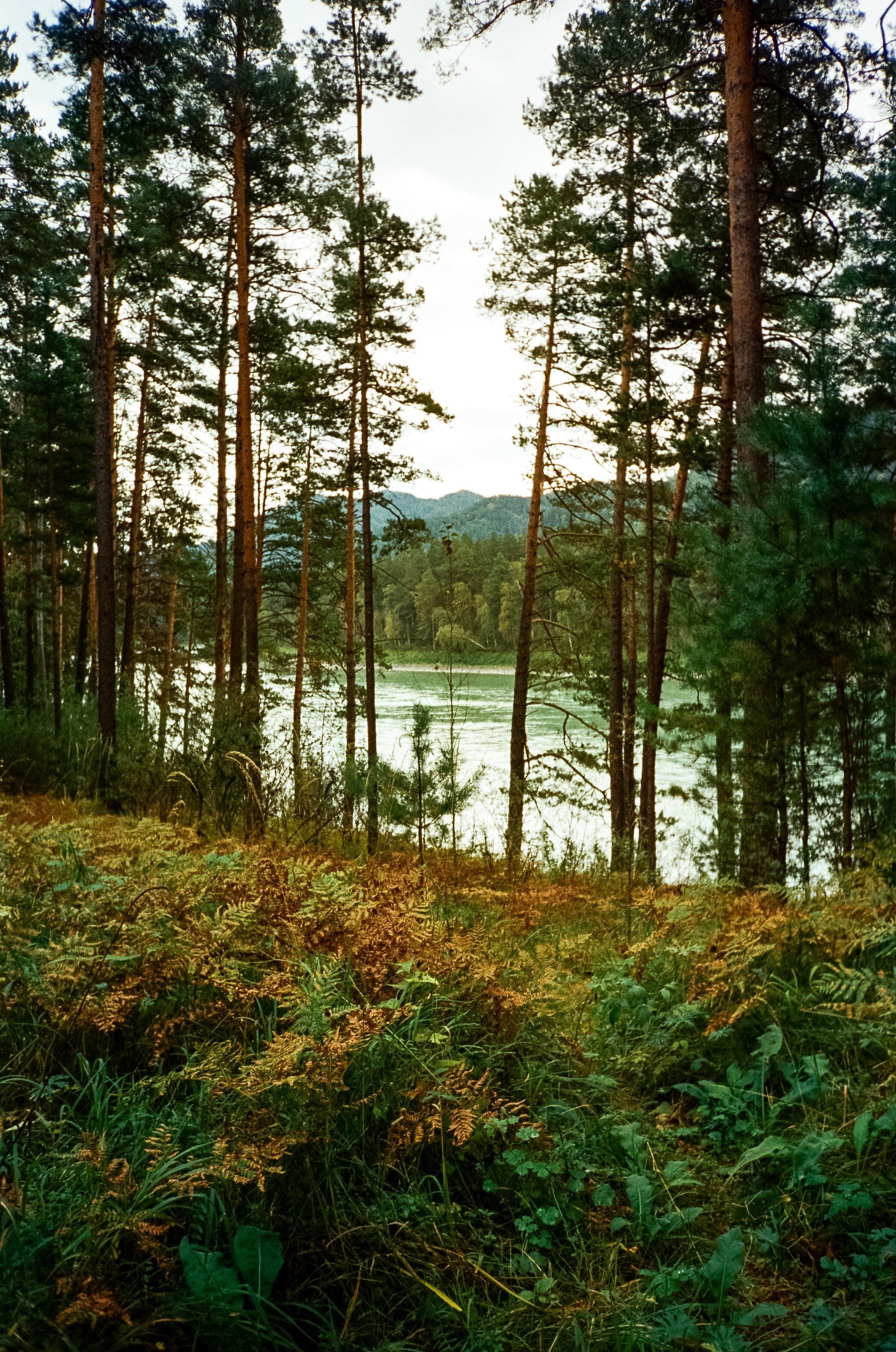 Горный курорт Манжерок, мост Царская охота и Белые скалы. Фотограф-документалист Мария Осокина