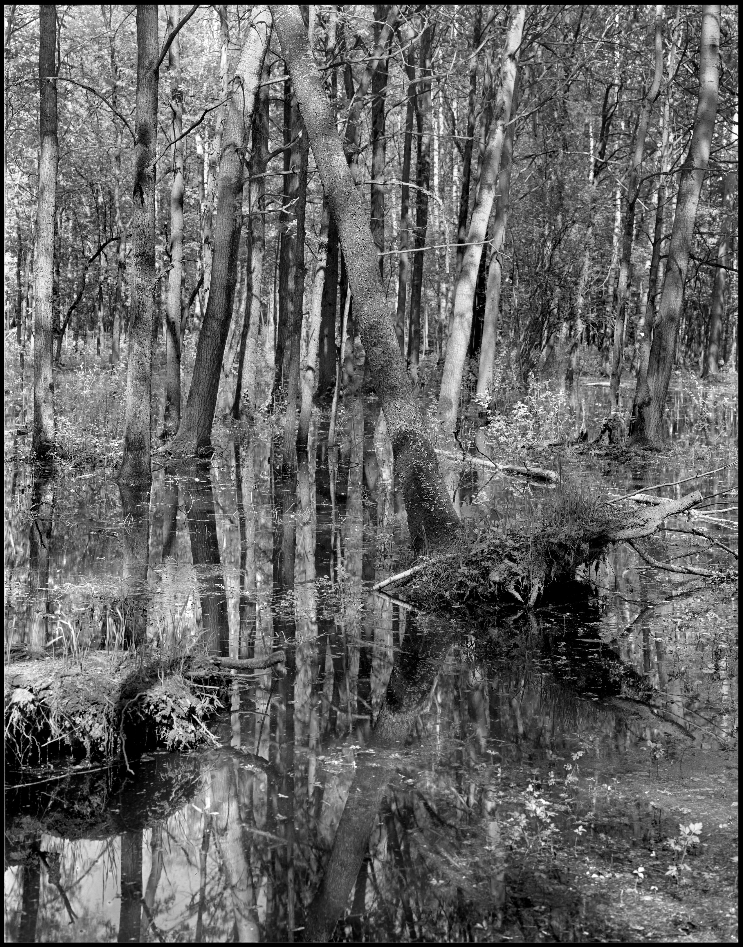 Sergey Kondriuk art-photographer | artist