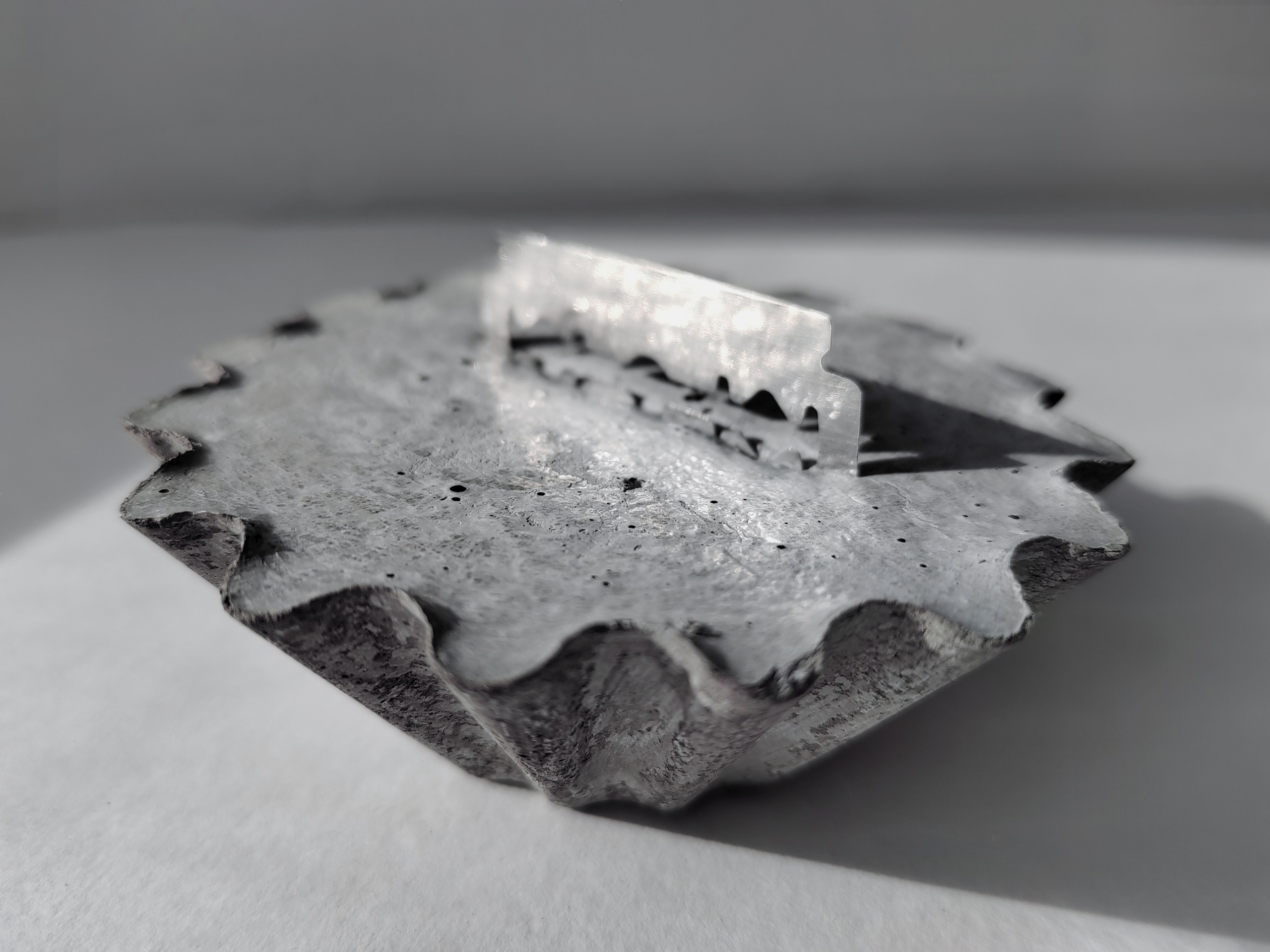 2024 Help Yourself. Alya Segova