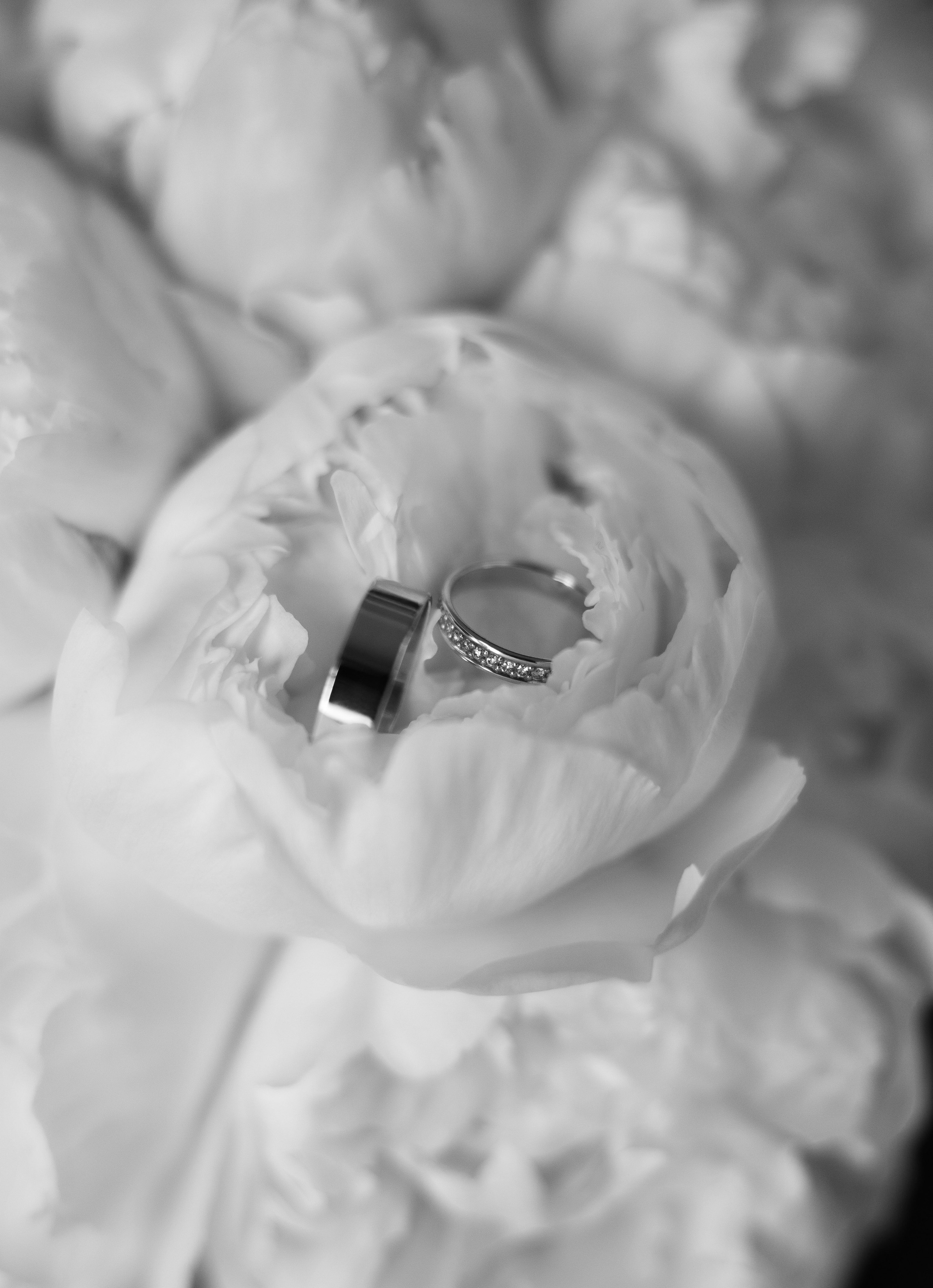 Свадебный фотограф Тула Москва СПБ / Сёмина Дарья