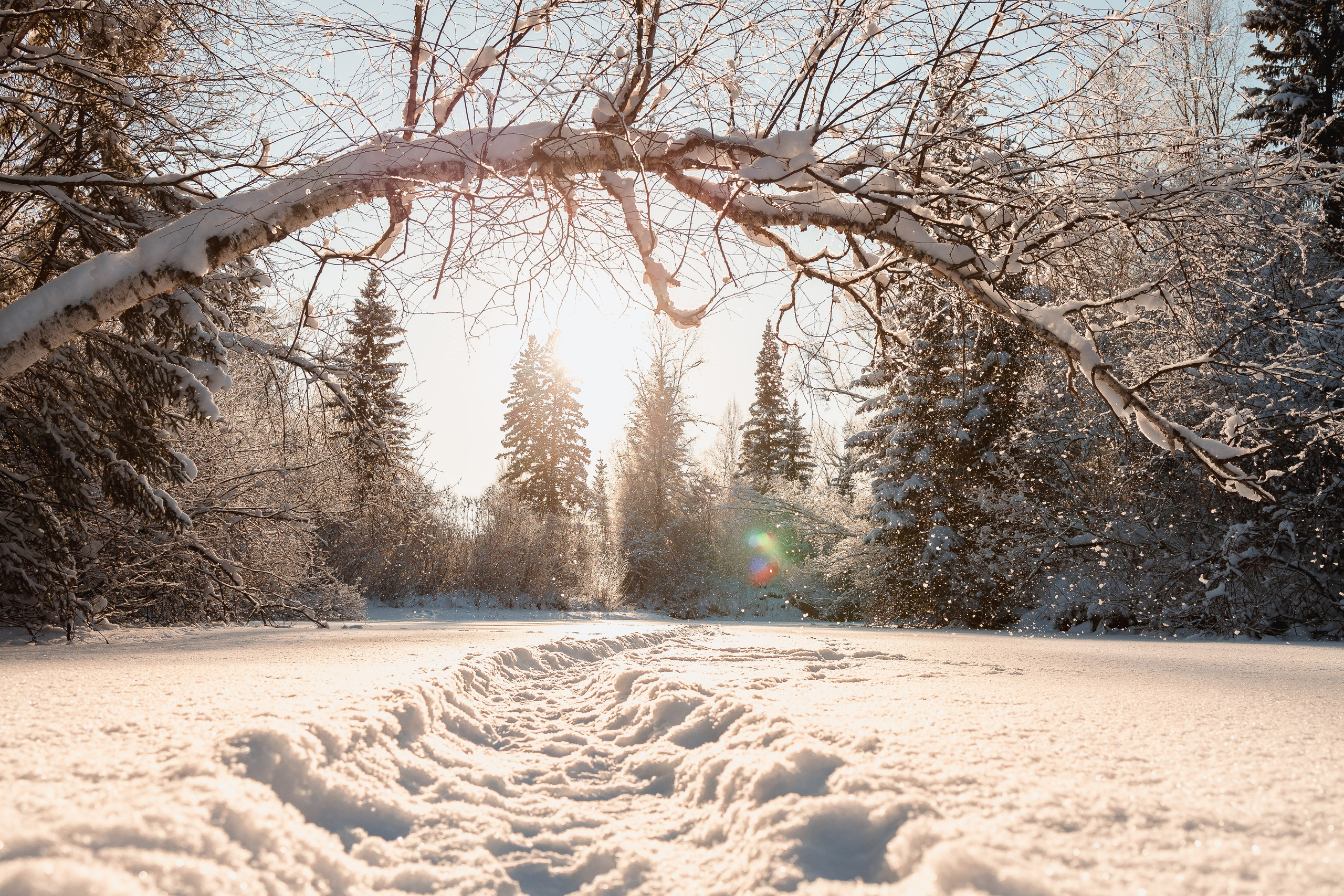 Зима 2023, -30. Семейный и детский фотограф в Железногорске Саламахо Ольга