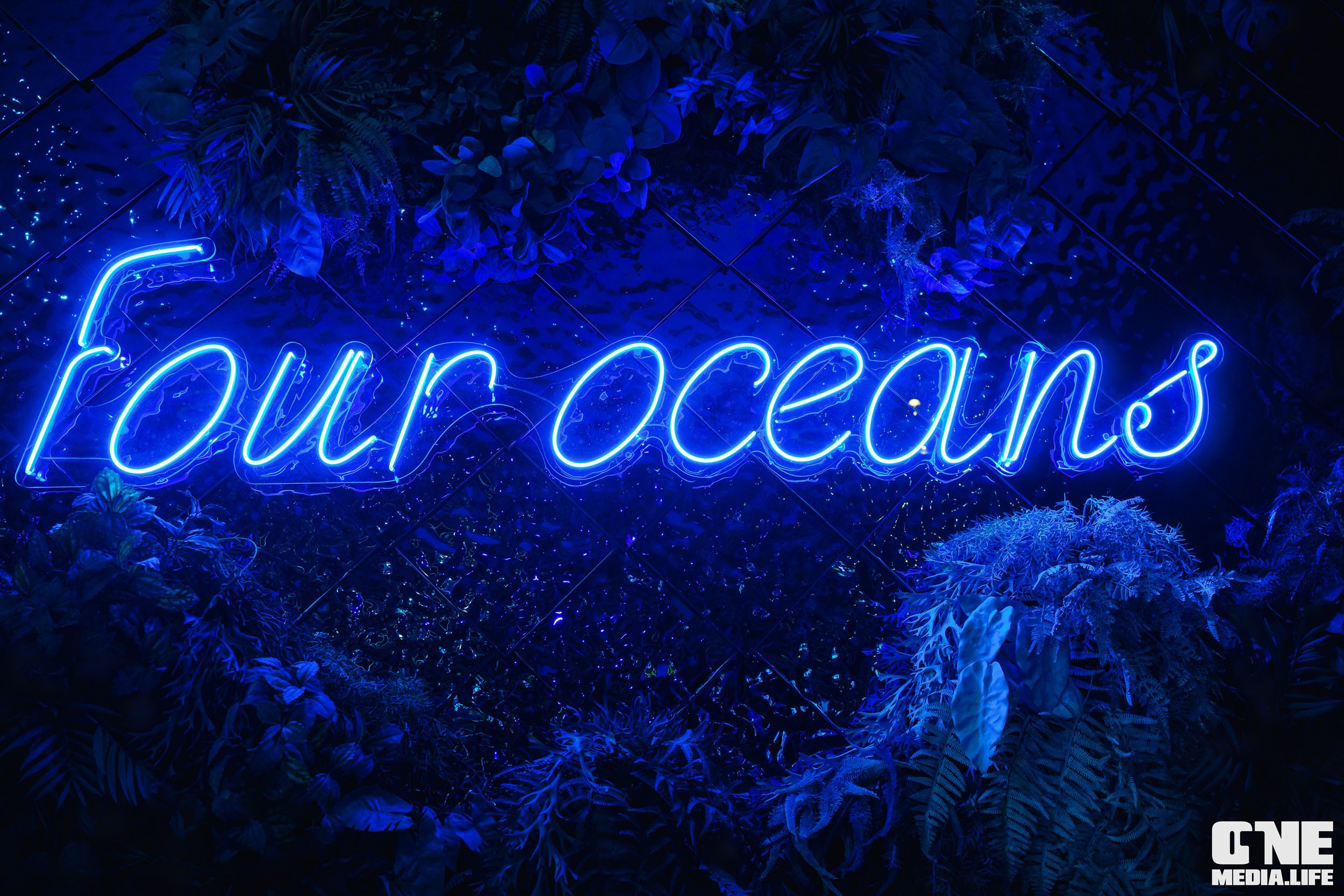 Фоторепортаж из ресторана Океан. One Media Life: фоторепортажи, фотоотчеты с мероприятий и заведений