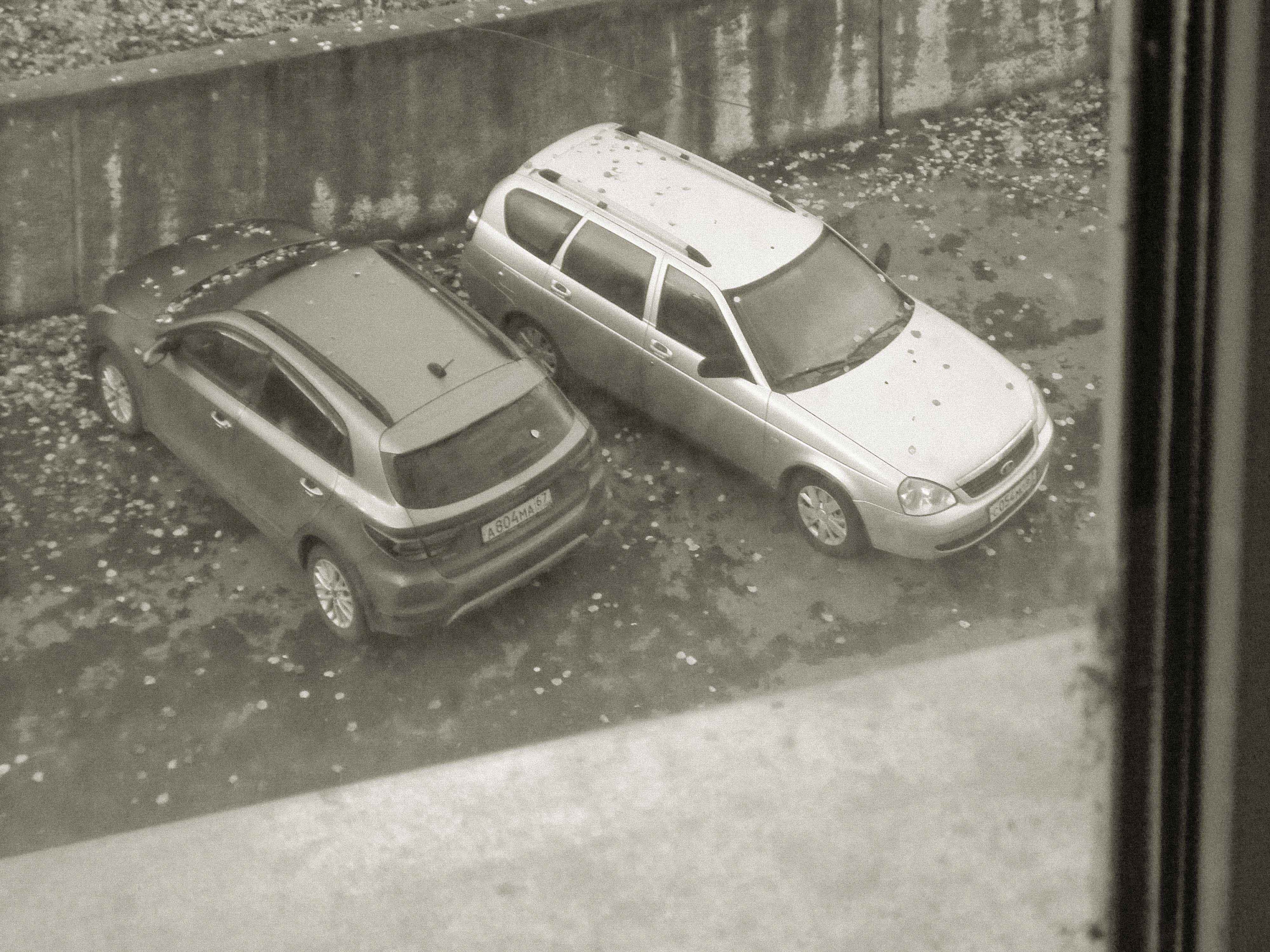 Я шёл и не видел…. Свадебный фотограф Смоленск