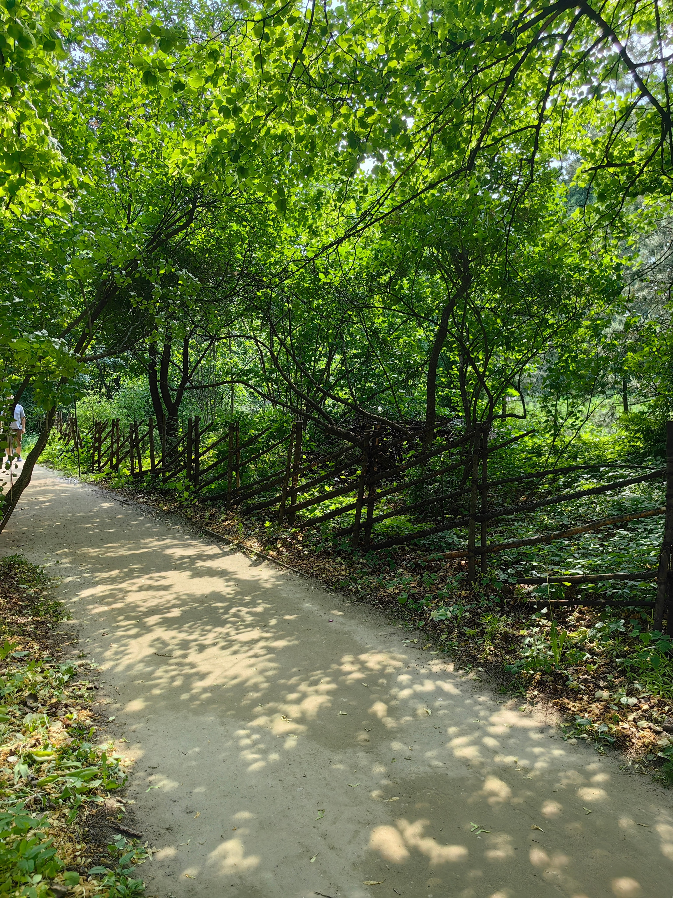 Парк АПТЕКАРСКИЙ ОГОРОД обзор. Фотограф в Москве и Московской области (Ю-В) Олеся Макарова