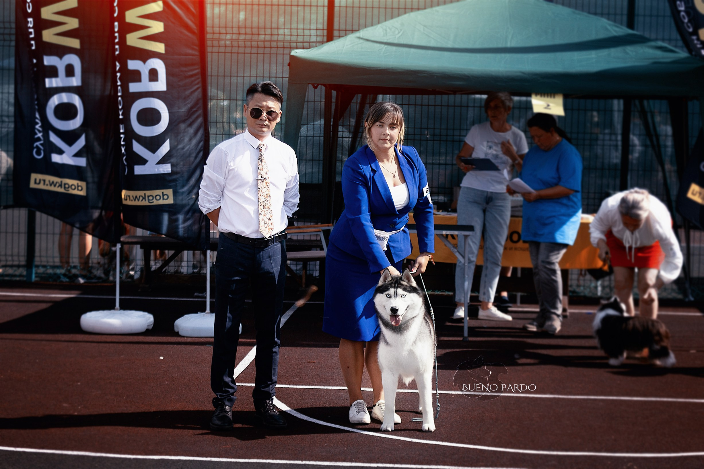 Собаки питомника Bueno Pardo. Питомник собак Акита, Хаски, Корги