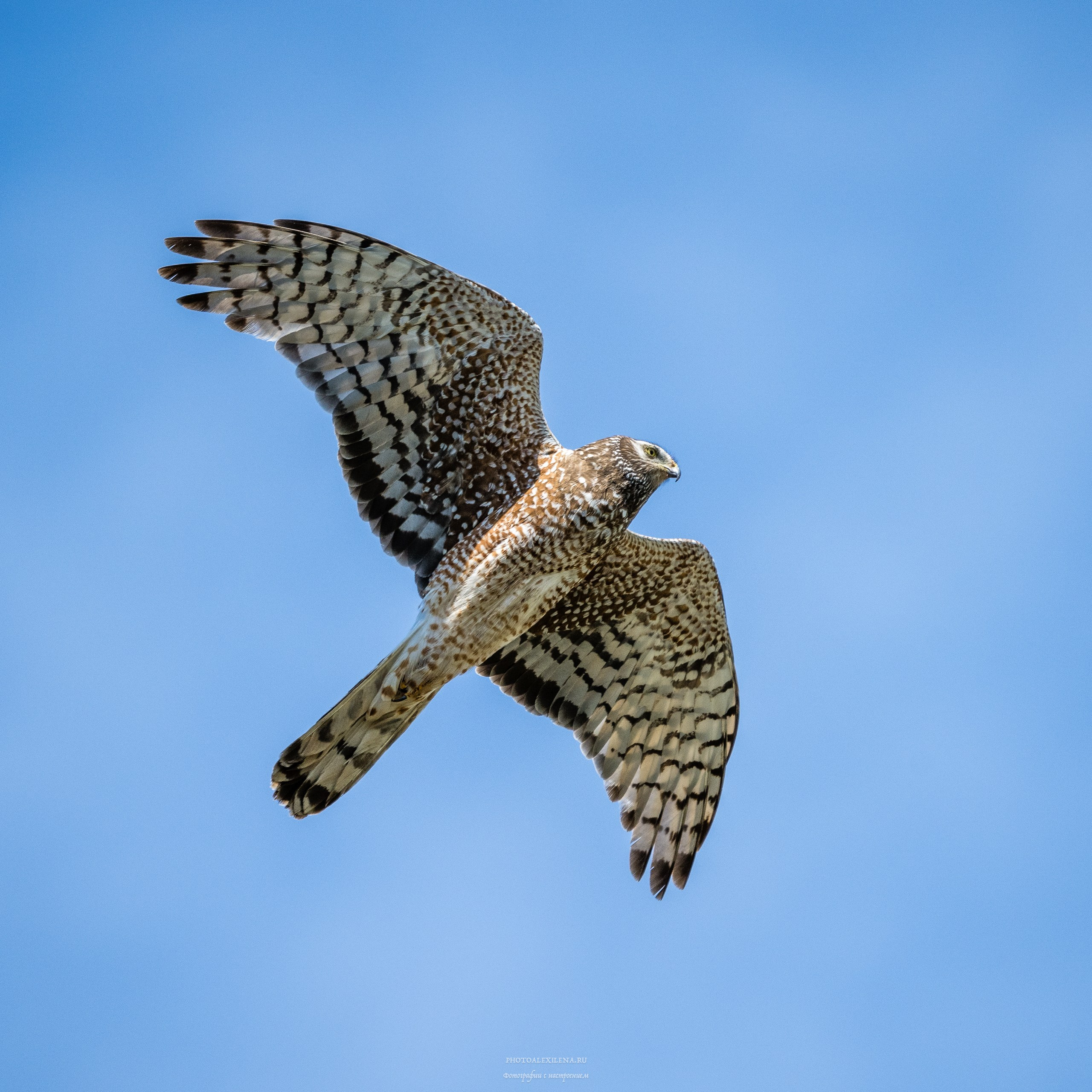 Ледник Перито-Морено, Лагуна Нимез и озеро Архентино. Авторские стильные фотокартины