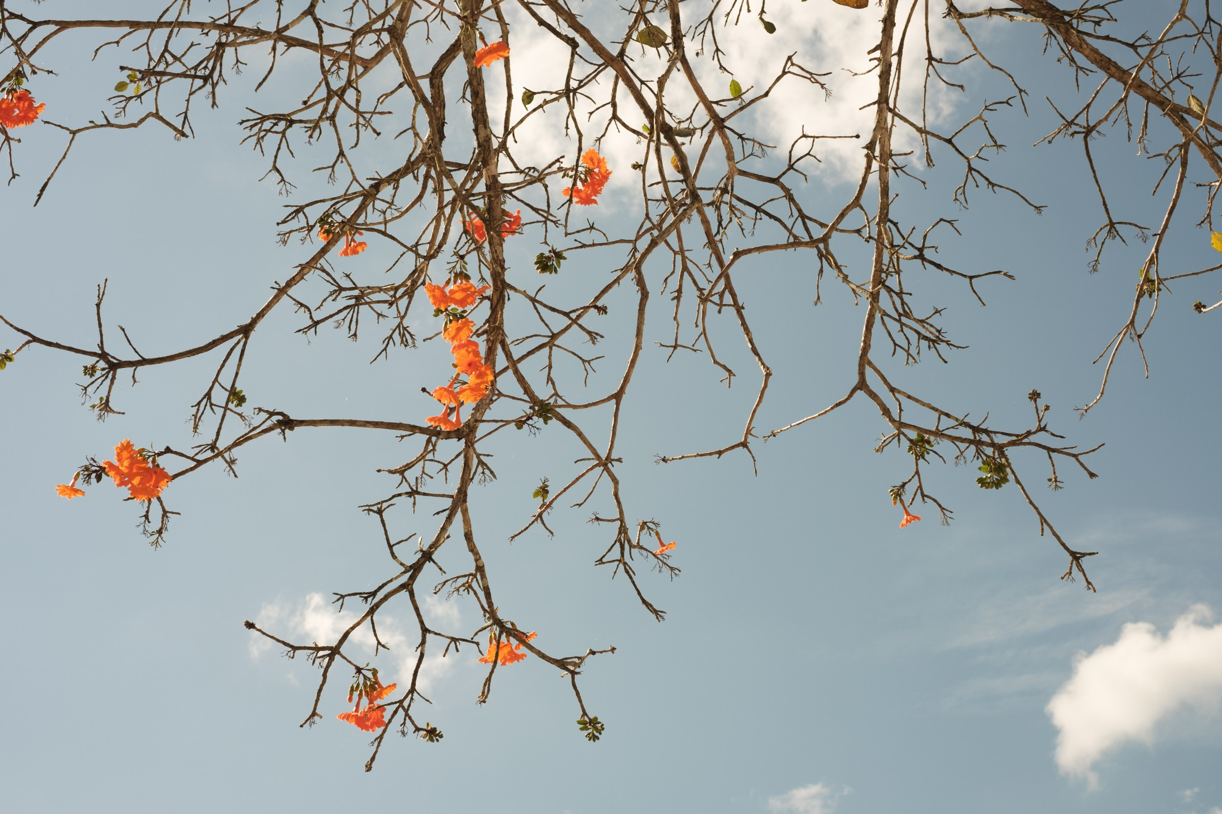 Mi Hija Mexicana. Margarita Rodionova — a contemporary lens-based artist currently working in Cancun, Mexico