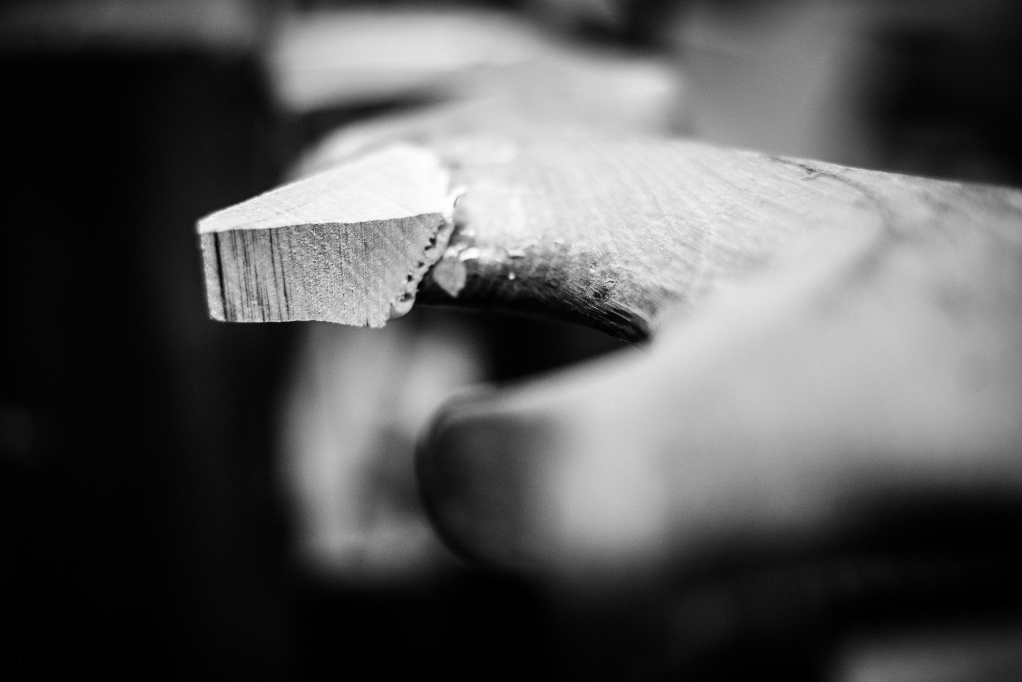 Forcola Pierrot, Venice, Italy