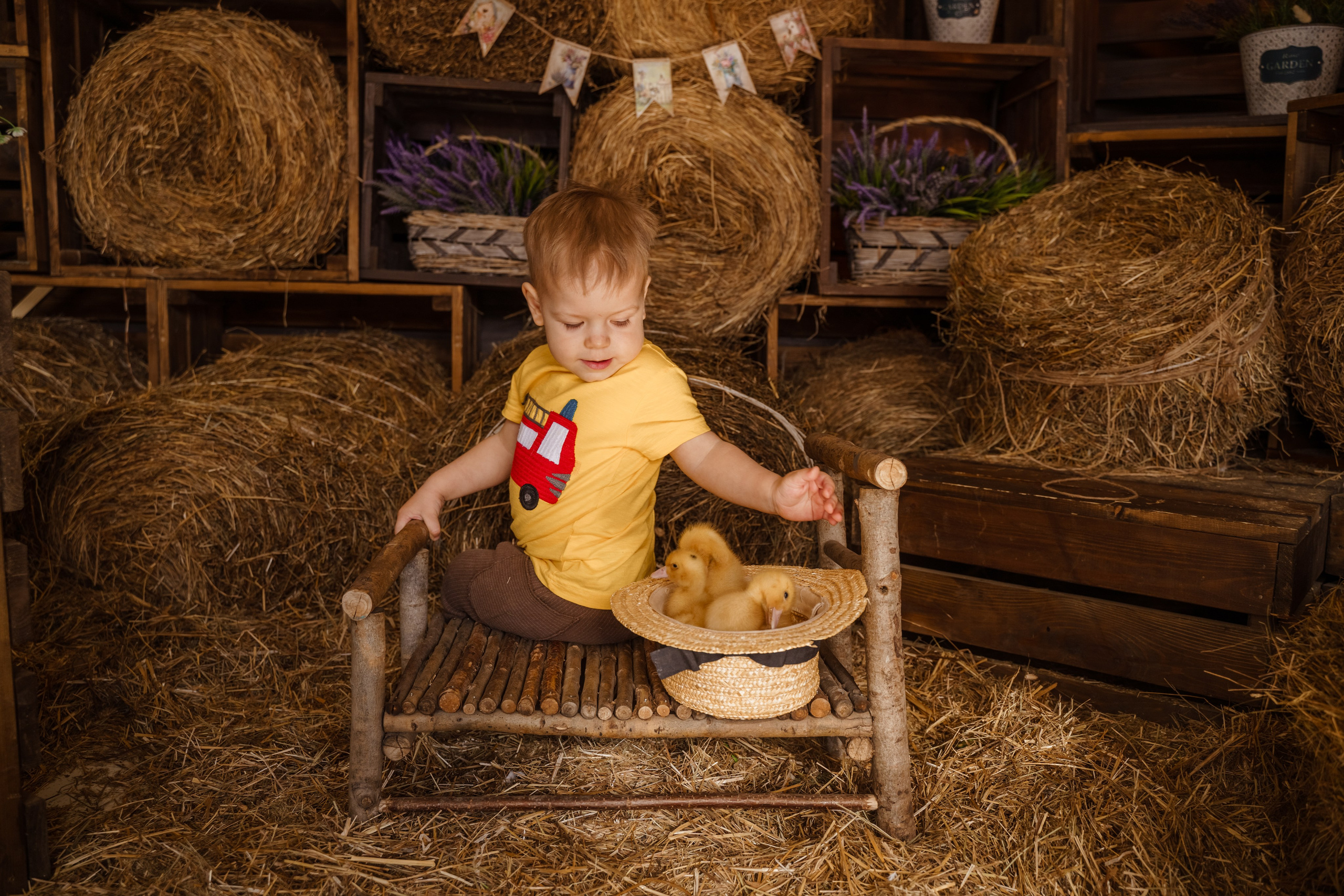 Фотосессия с утятами в студии