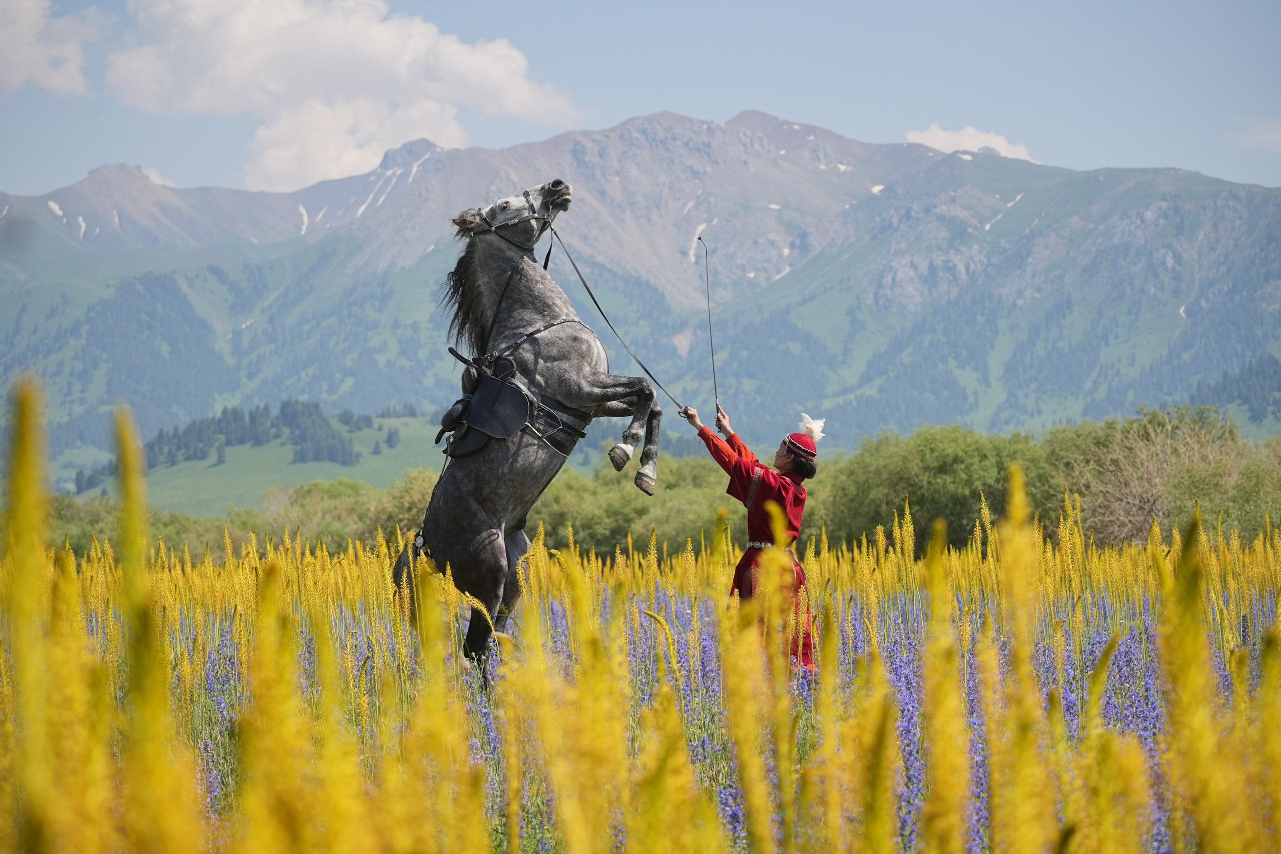 TOPZHARGAN — Центр национального духа