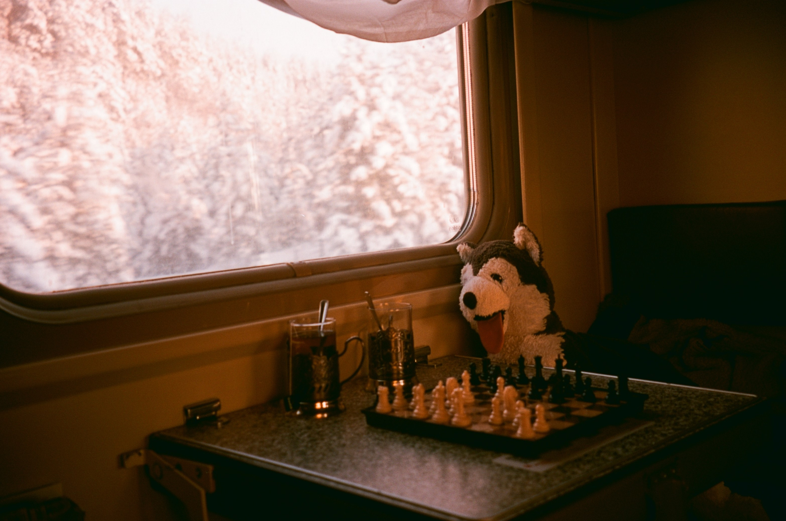 Автор: Вика Мамина