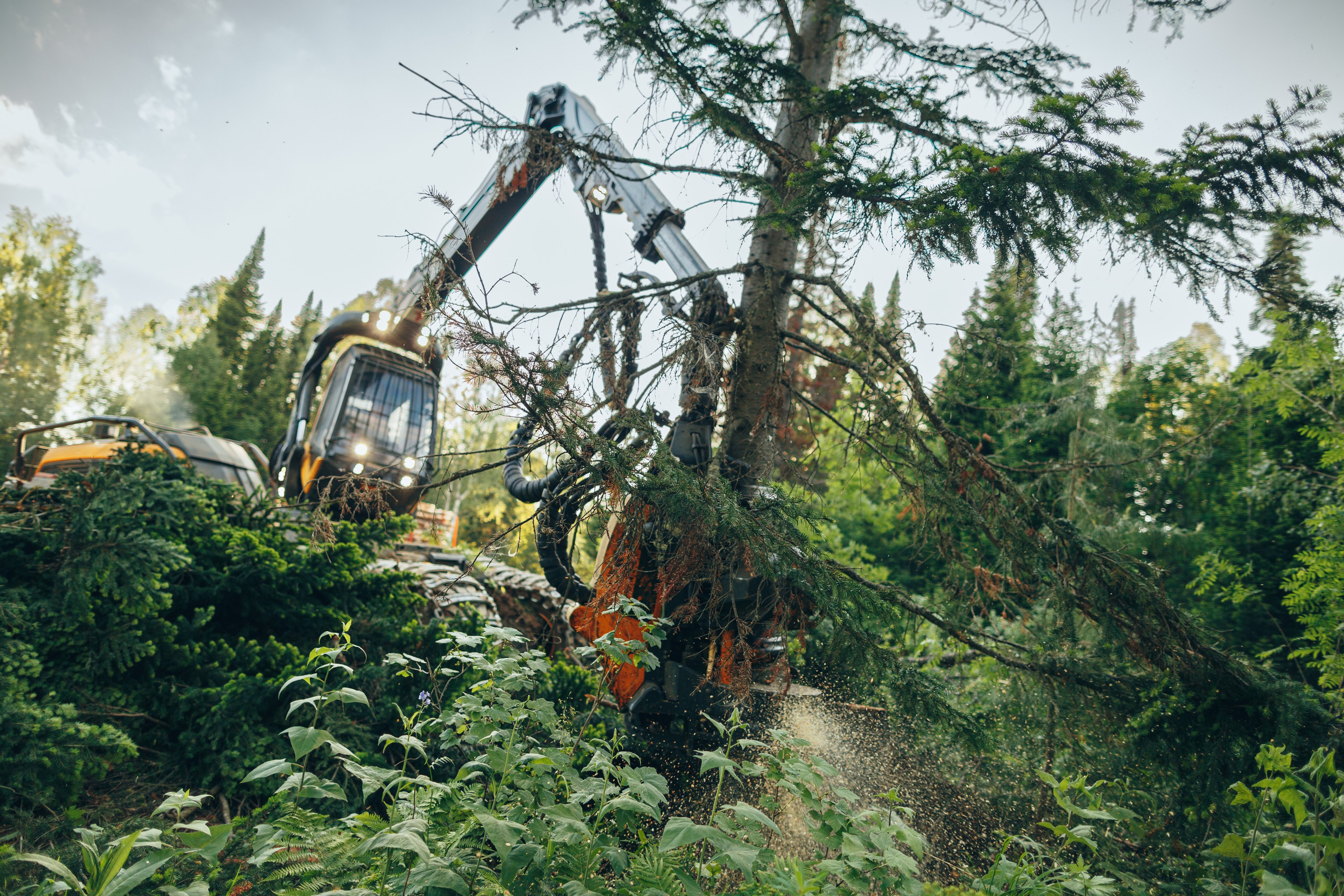Профессиональный фотограф Виктор Гагарин — Промышленная, Event, Портретная, Репортажная съемка в Новокузнецке, Кемерово, Новосибирске