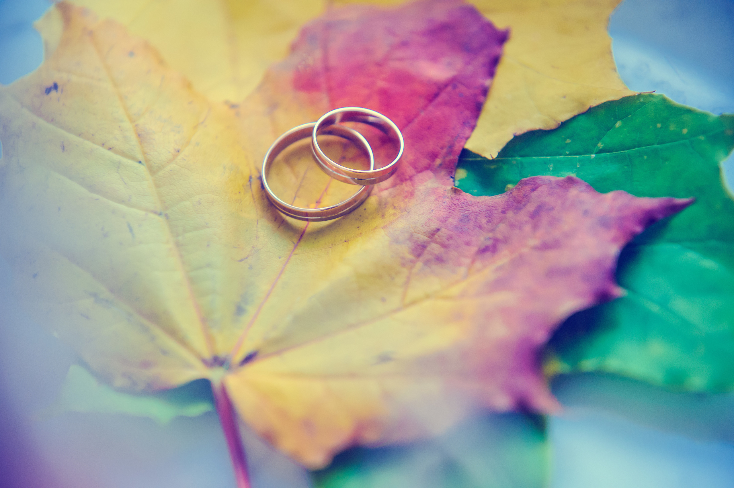 Фотограф спб, Санкт-Петербурге, Питере Денис Гусев