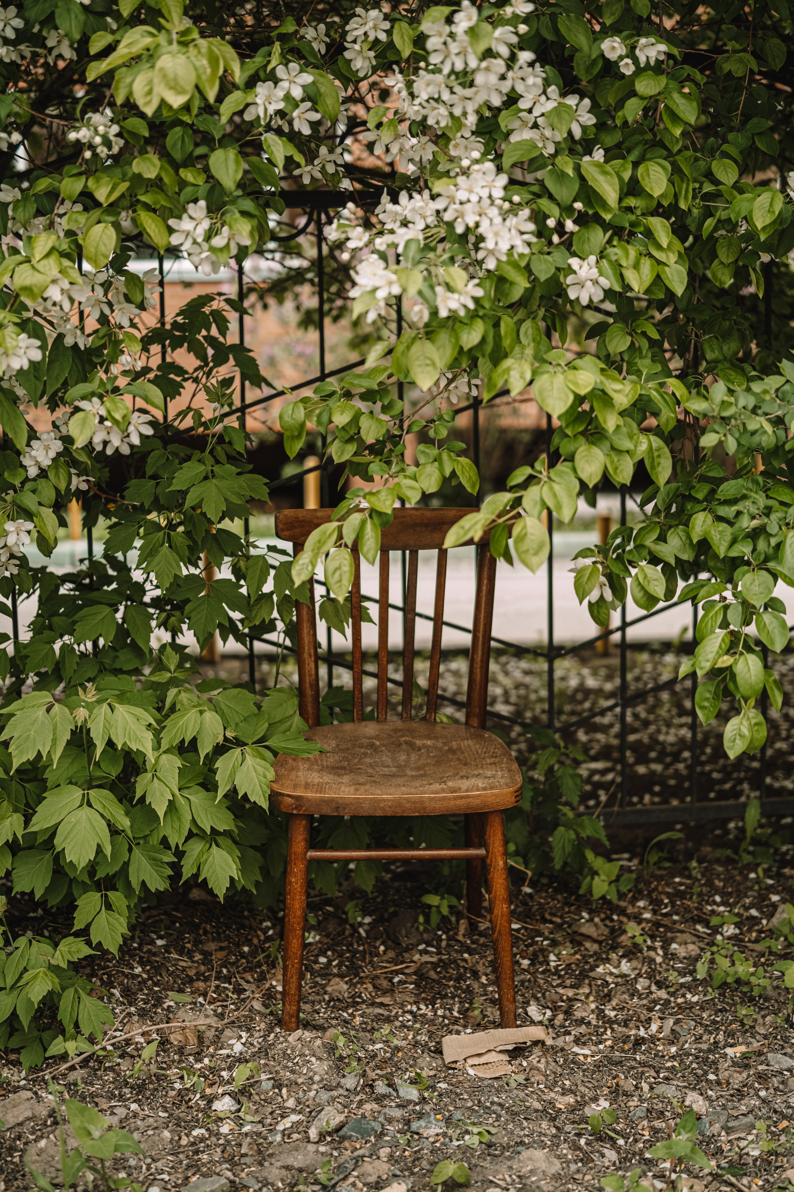 Люди. Фотограф Олеся Кавлакан