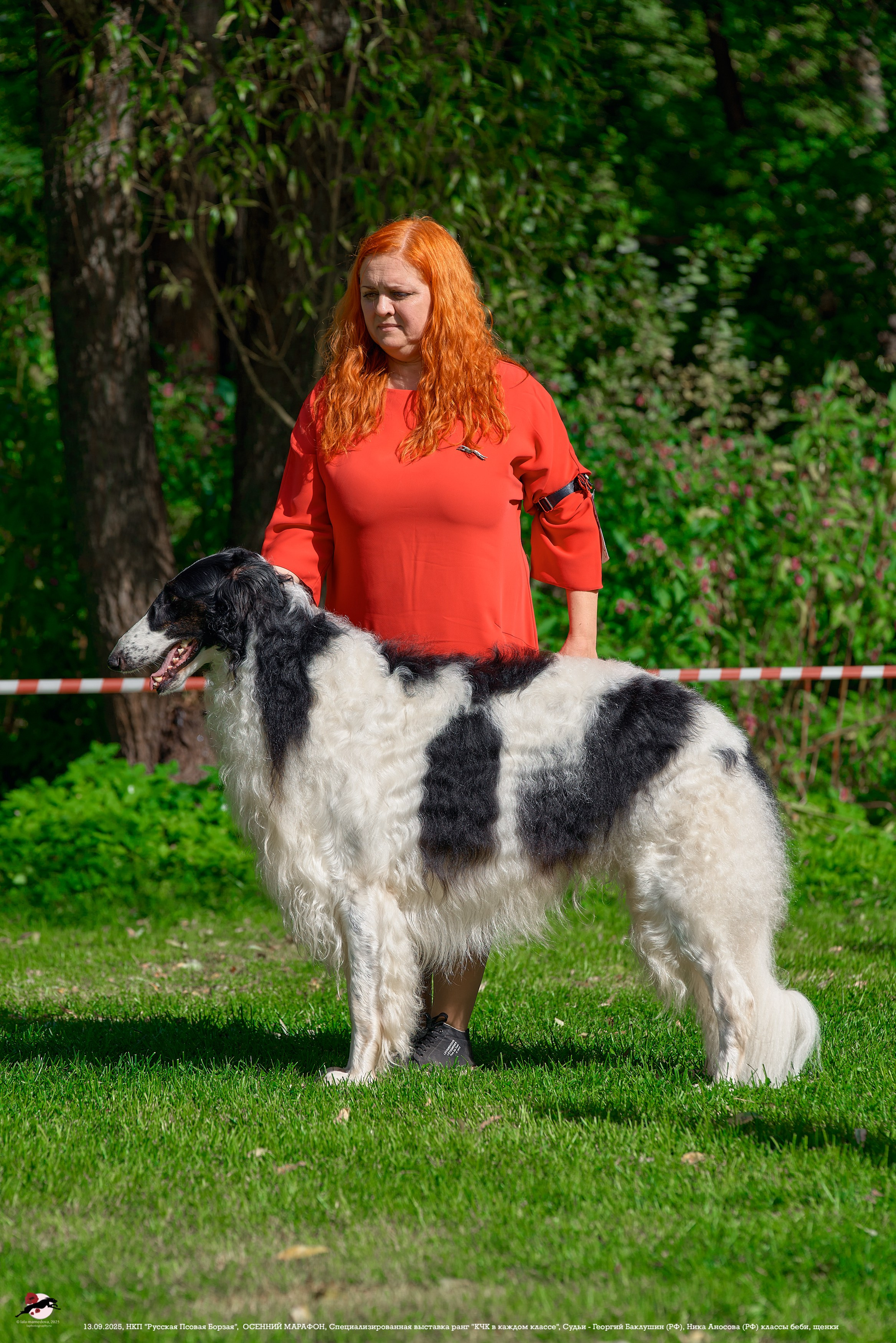 ОСЕННИЙ МАРАФОН | Специализированная выставка породы Русская Псовая Борзая ранг "КЧК в каждом классе"