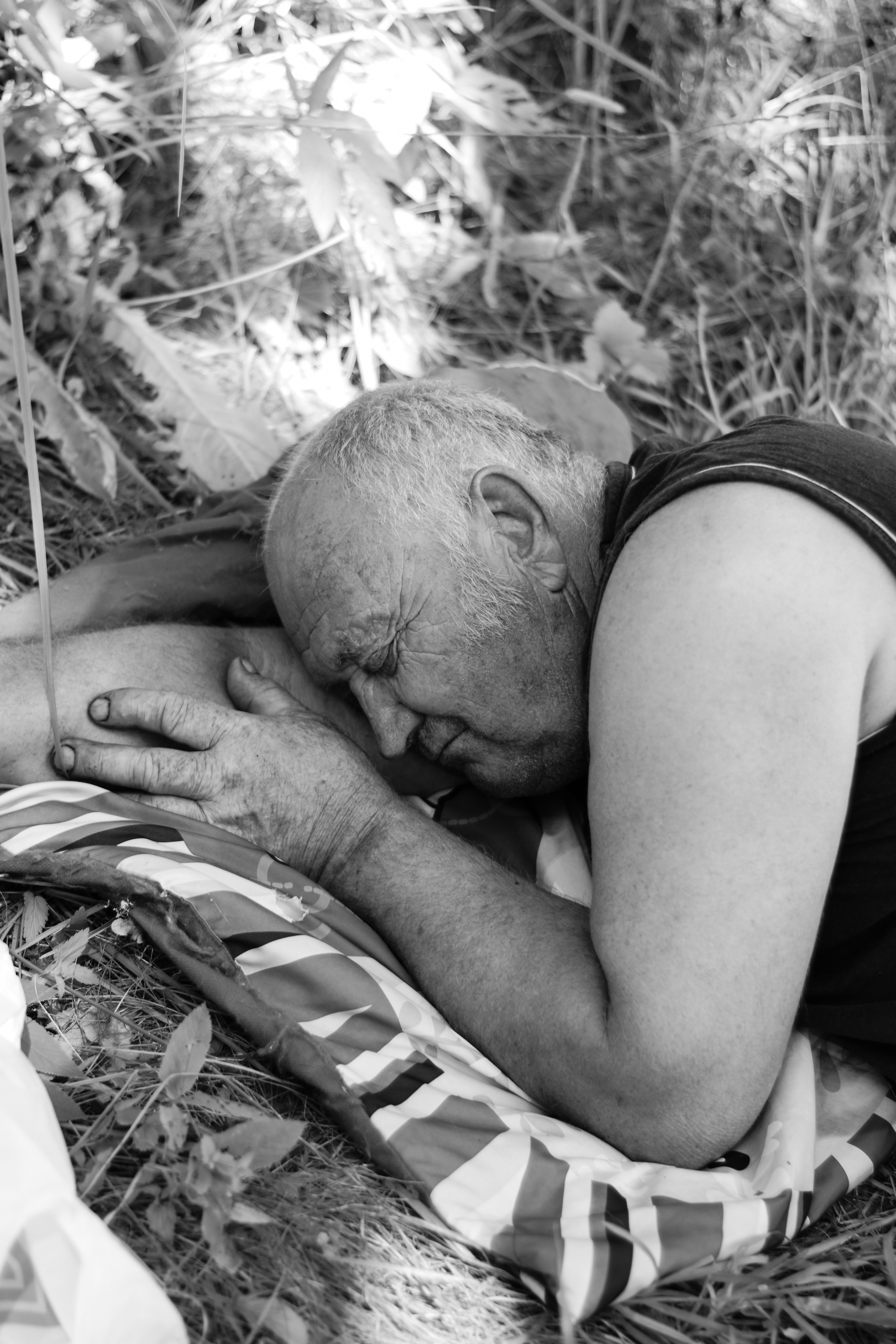 NOISE, LAUGHTER AND VOCATION. Victoria Ovchinnikova