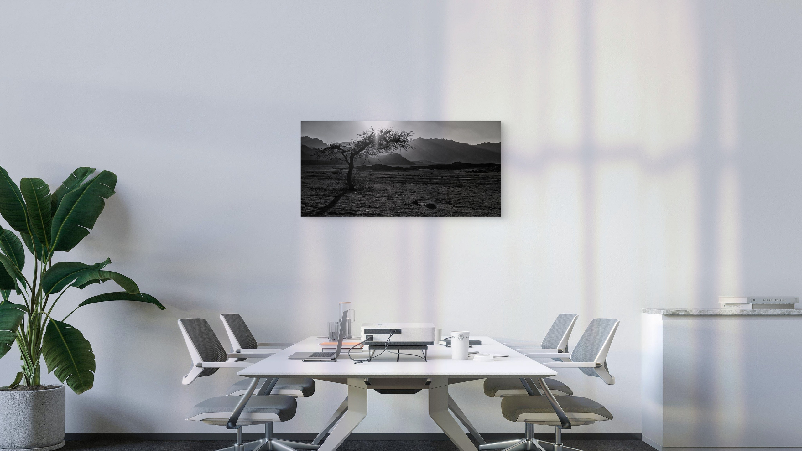 Order. Dimitri Bakhtadze photographer