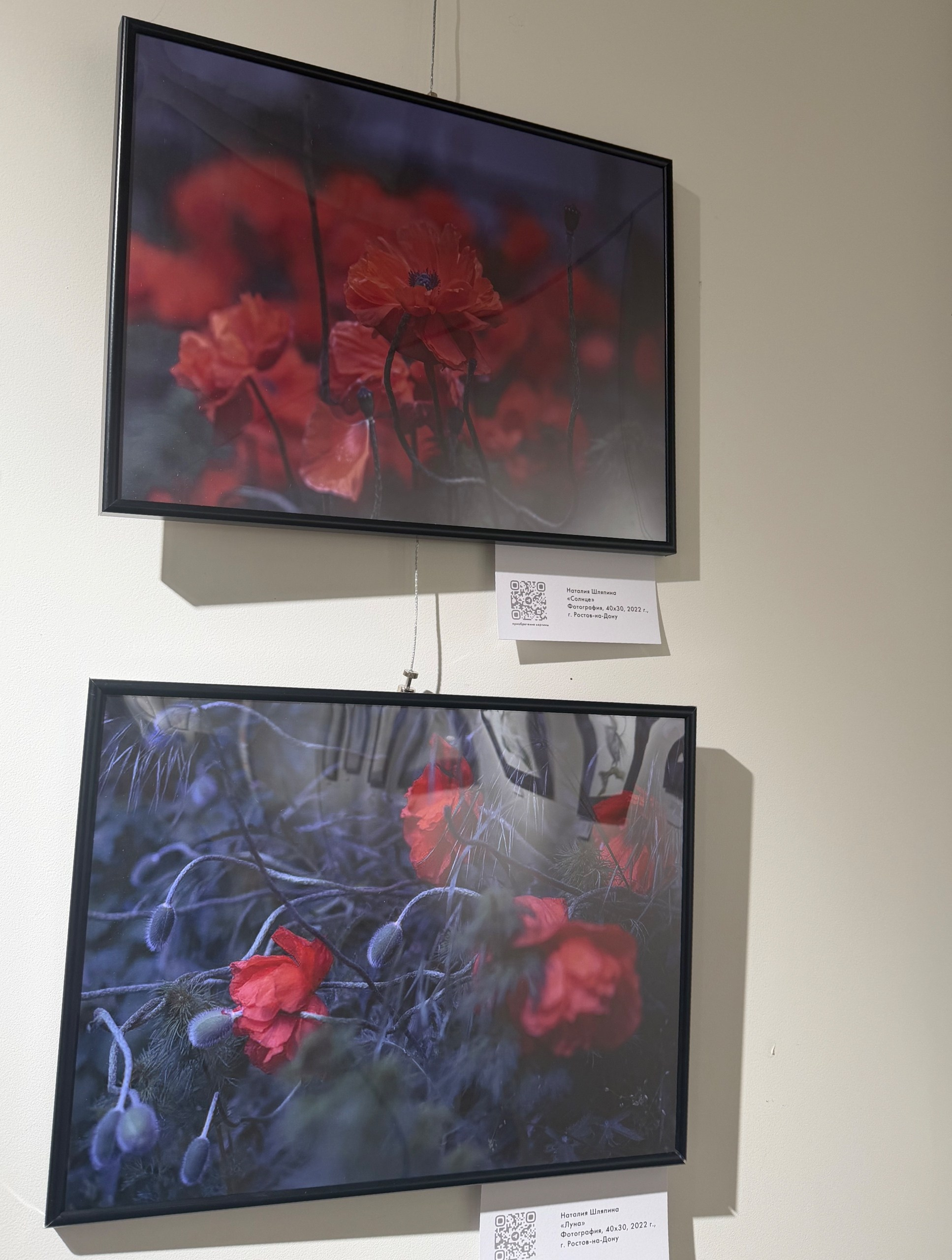 Участвую в выставке «Цветы и птицы», г. Ростов-на-Дону. Фотограф Наталия Шляпина в Ростове-на-Дону