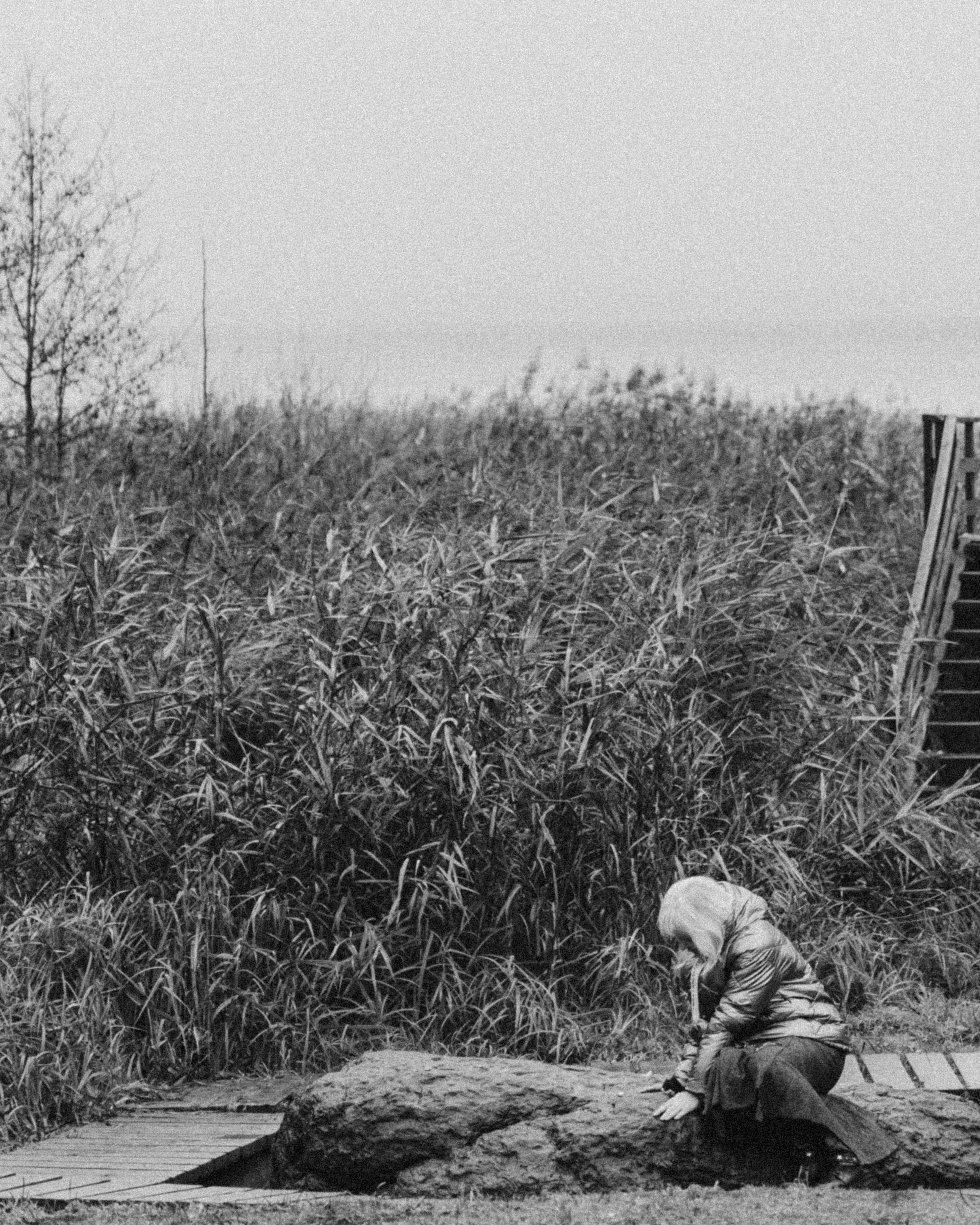 О том, как мы исследовали земли Залесские. Главная