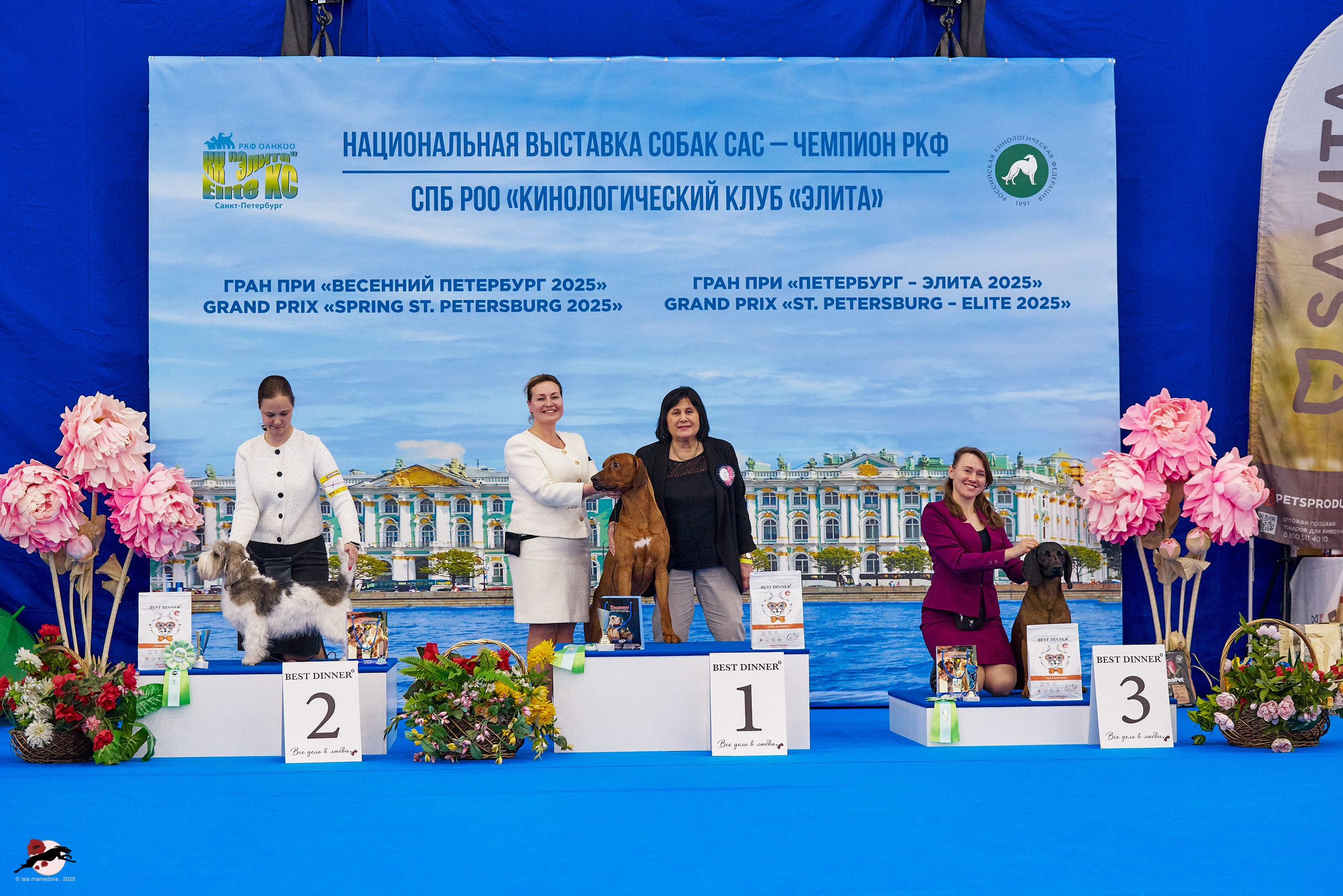 ГРАН ПРИ «ВЕСЕННИЙ ПЕТЕРБУРГ» & «СУПЕР КУБОК «ЭЛИТЫ»-2025»