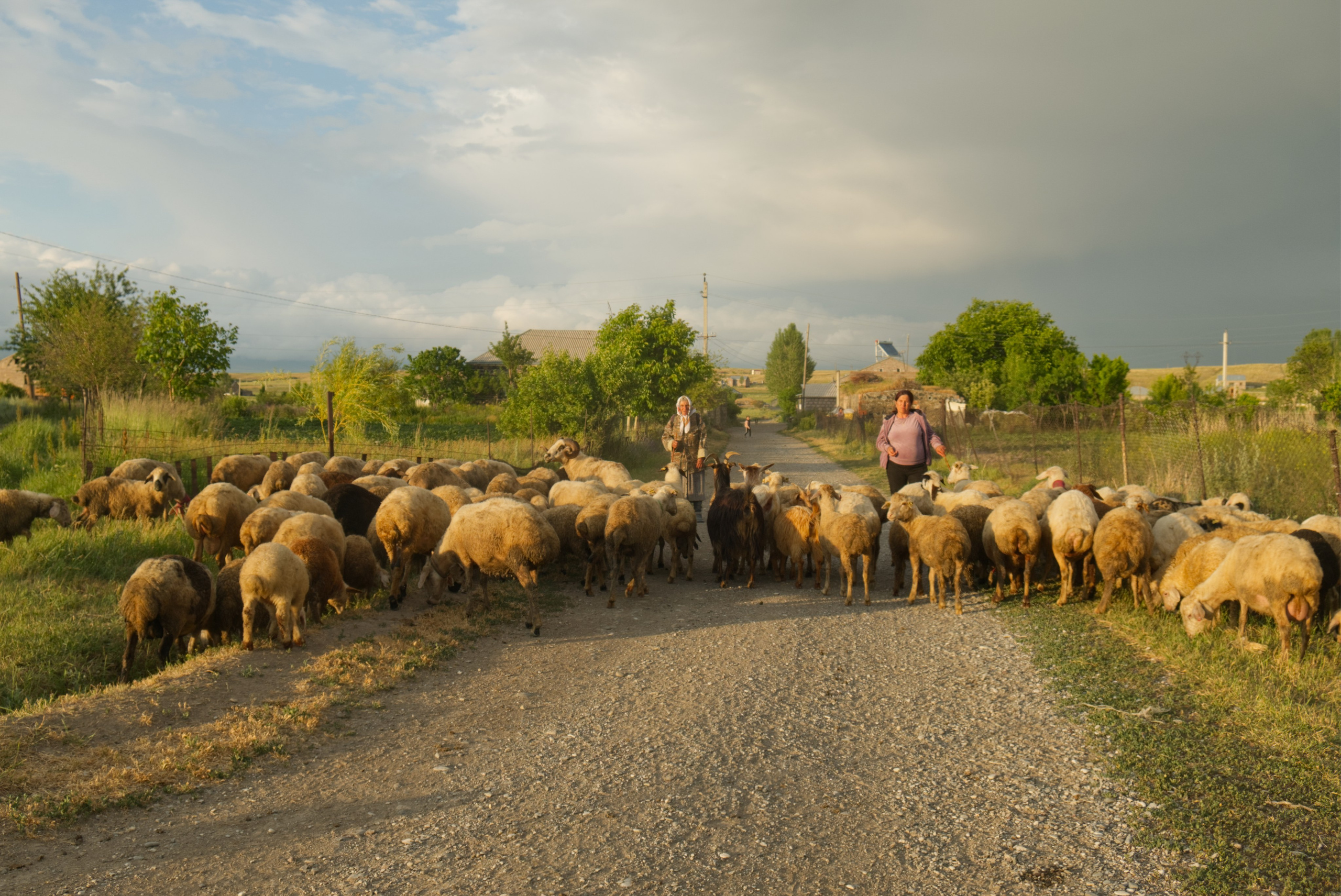 — Sevan (ongoing). Kirillov Egor