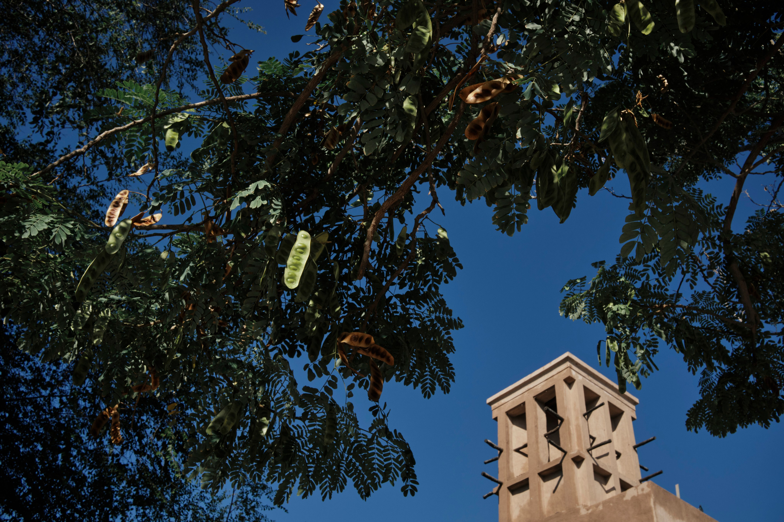 Дубай. Елена Павленко. Фотограф. Москва