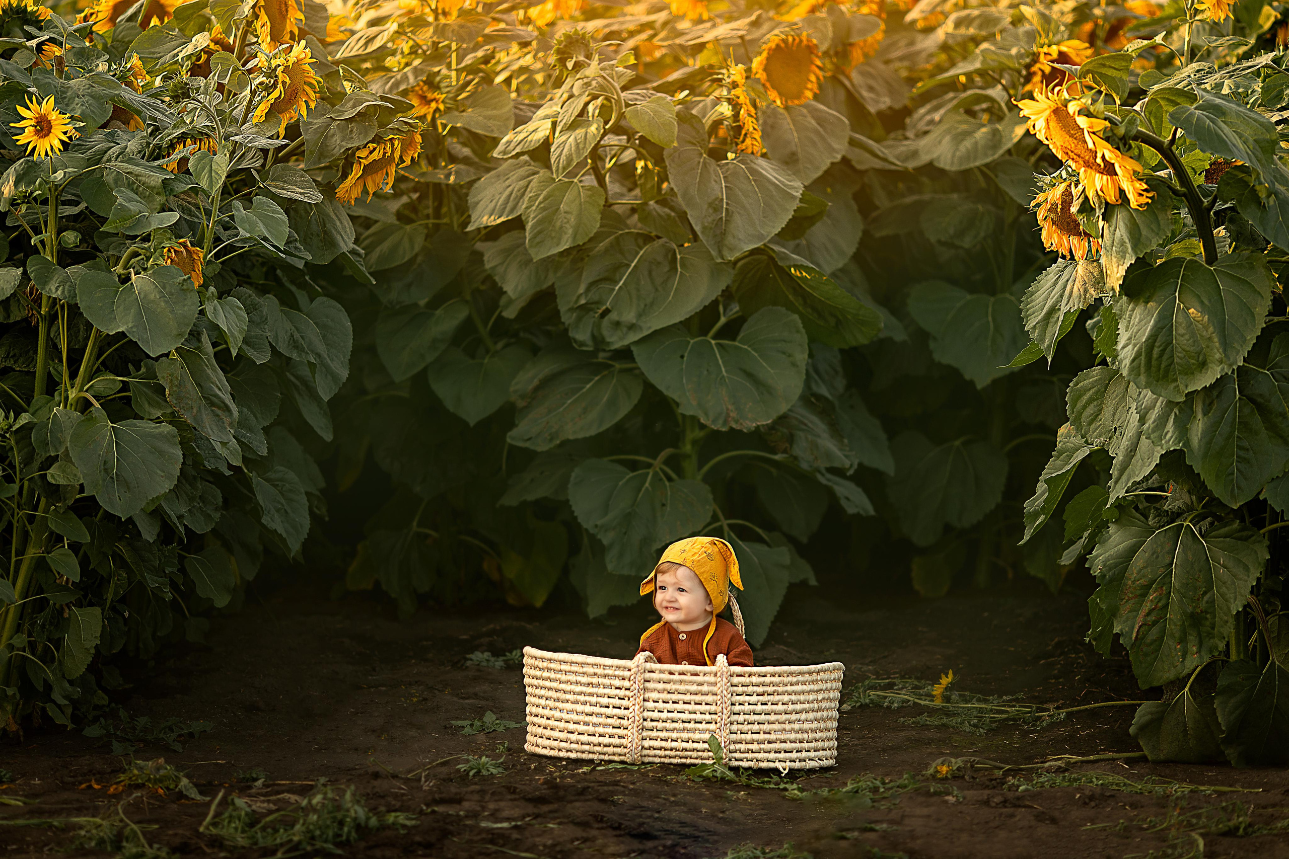 Солнечные цветы. Детский и семейный фотограф в Красноярске Елена Коровкина