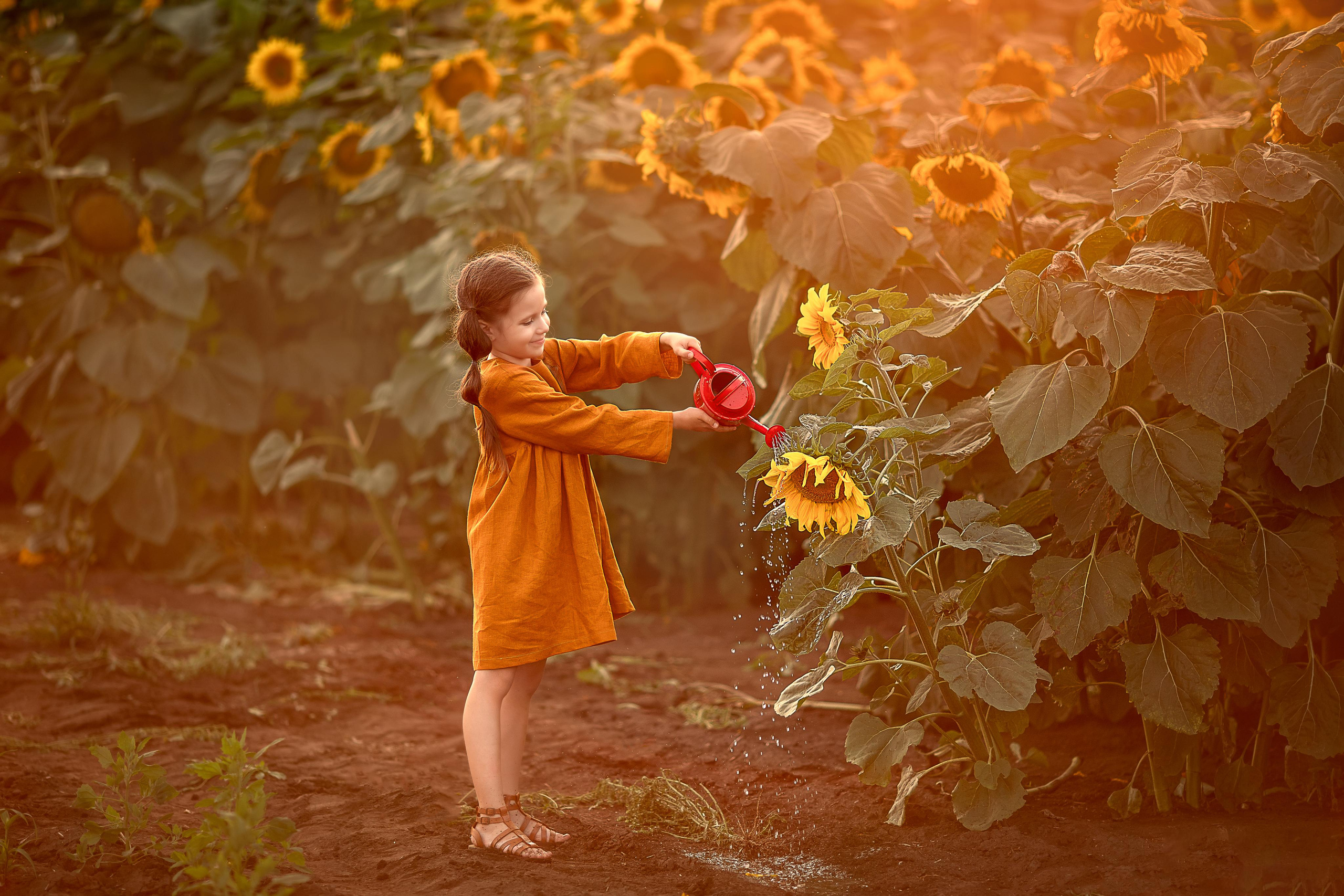 Солнечные цветы. Детский и семейный фотограф в Красноярске Елена Коровкина