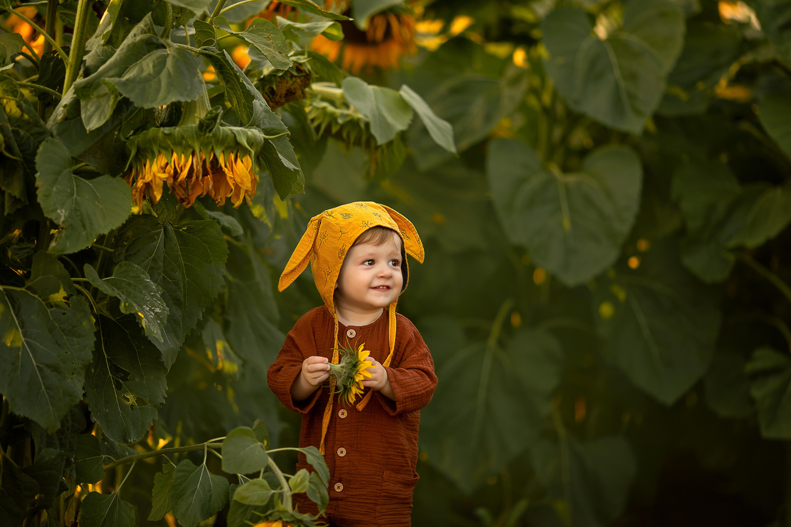 Солнечные цветы. Детский и семейный фотограф в Красноярске Елена Коровкина