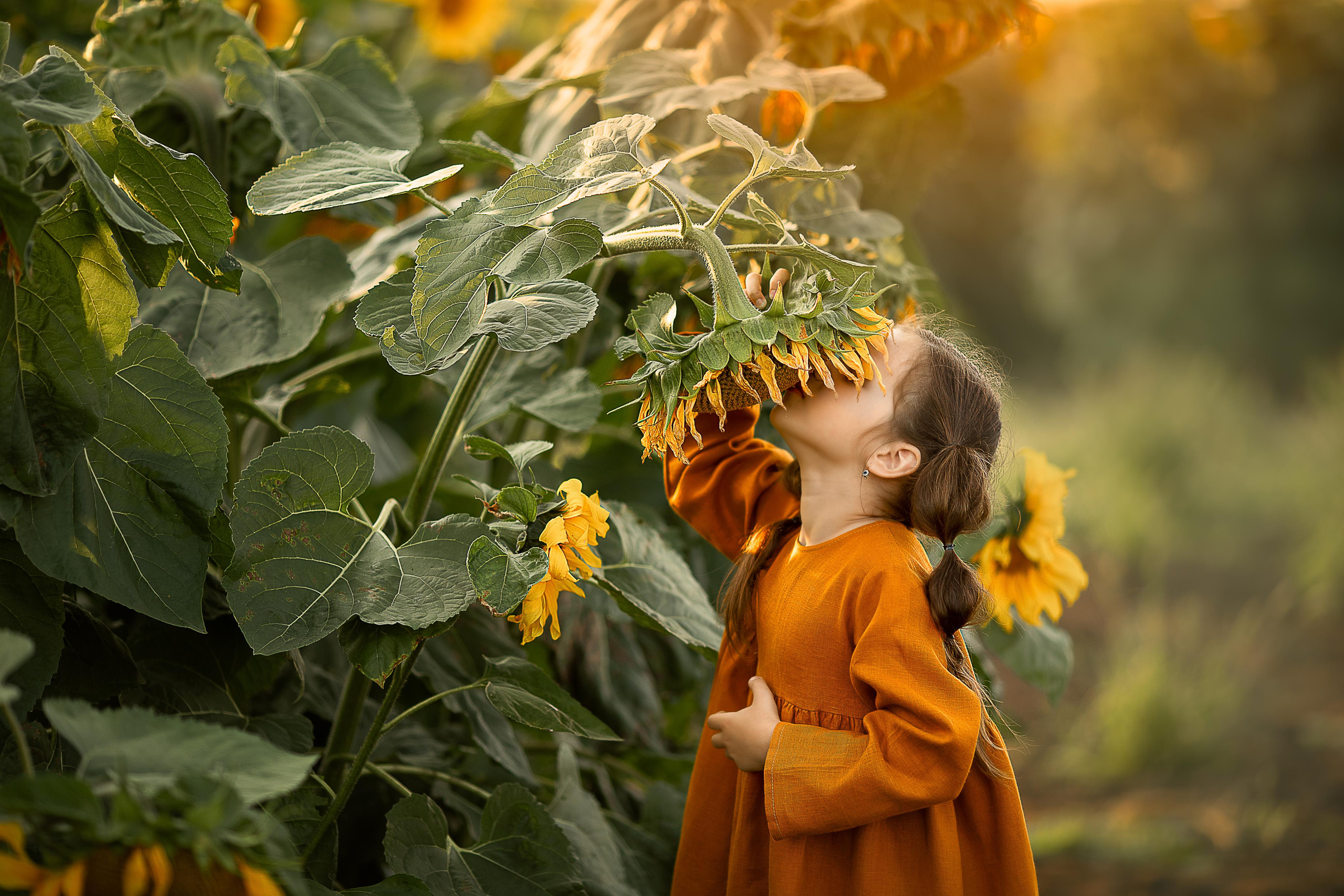 Солнечные цветы. Детский и семейный фотограф в Красноярске Елена Коровкина