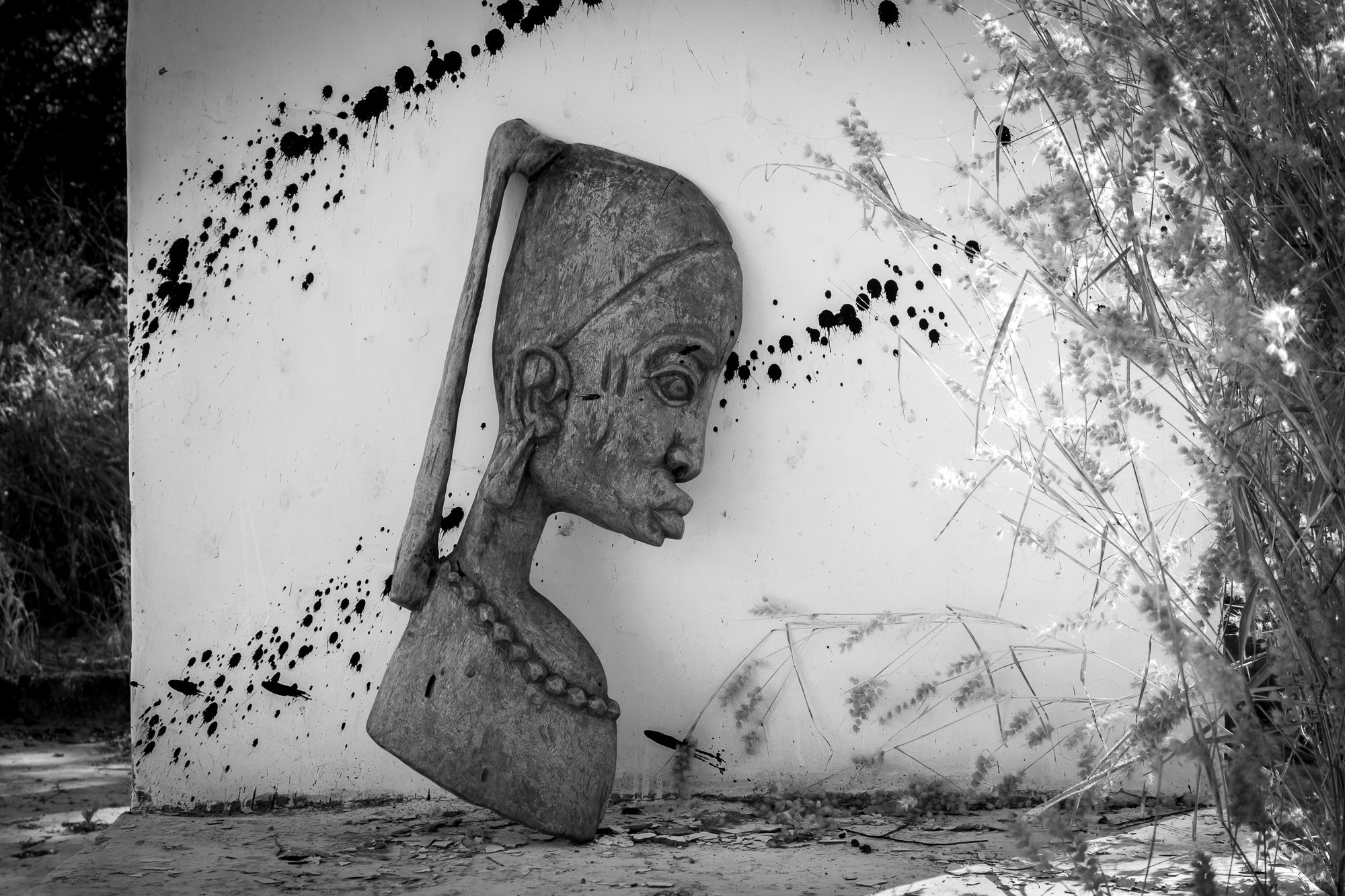 Путешествие по Гамбии (Западная Африка).Traveling in Gambia (West Africa.). Фотограф Алексей Скоробогатько
