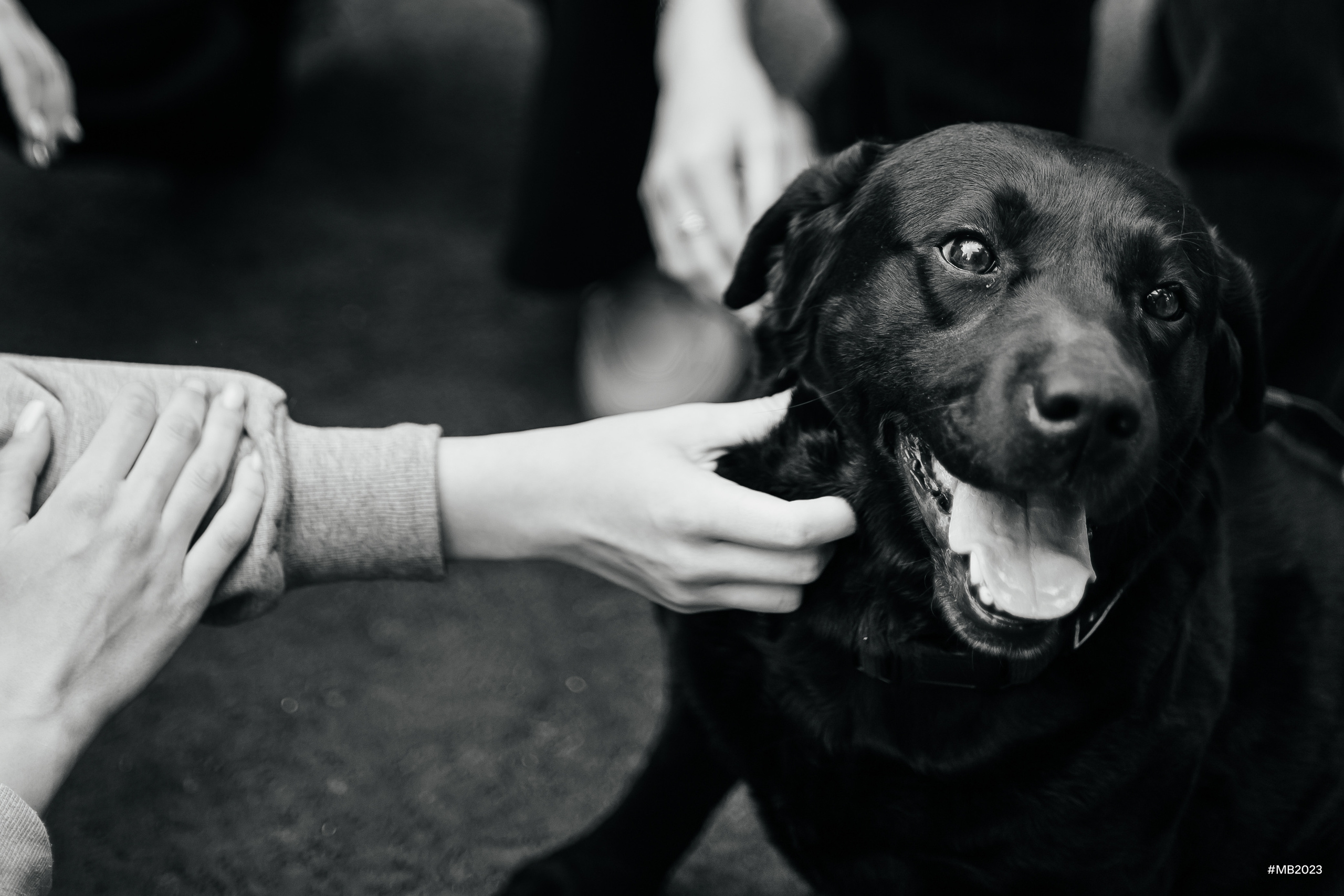 Форум «Молодая волна». Репортажный Фотограф. Репортажный фотограф в городе Ростов-на-Дону Даниил Молодовский