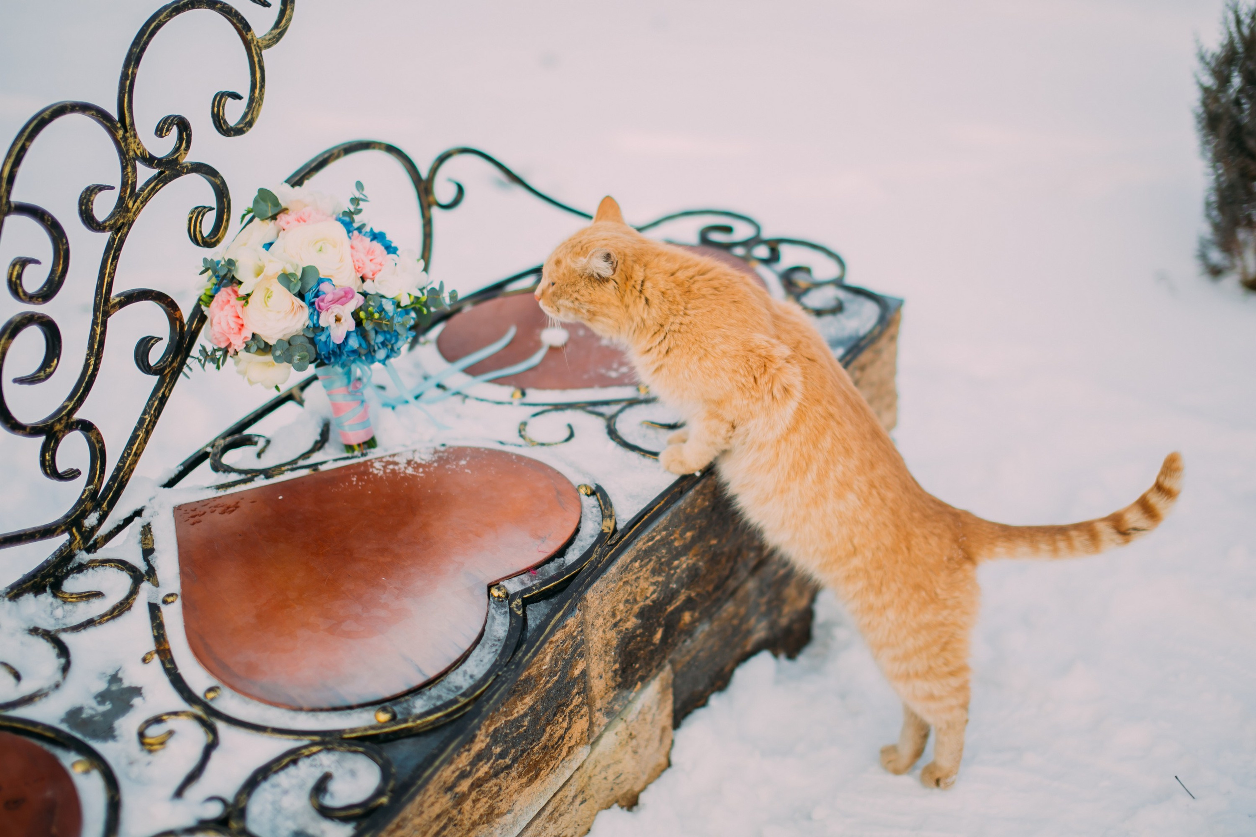 Свадьба. Фотограф Кирилл Брага